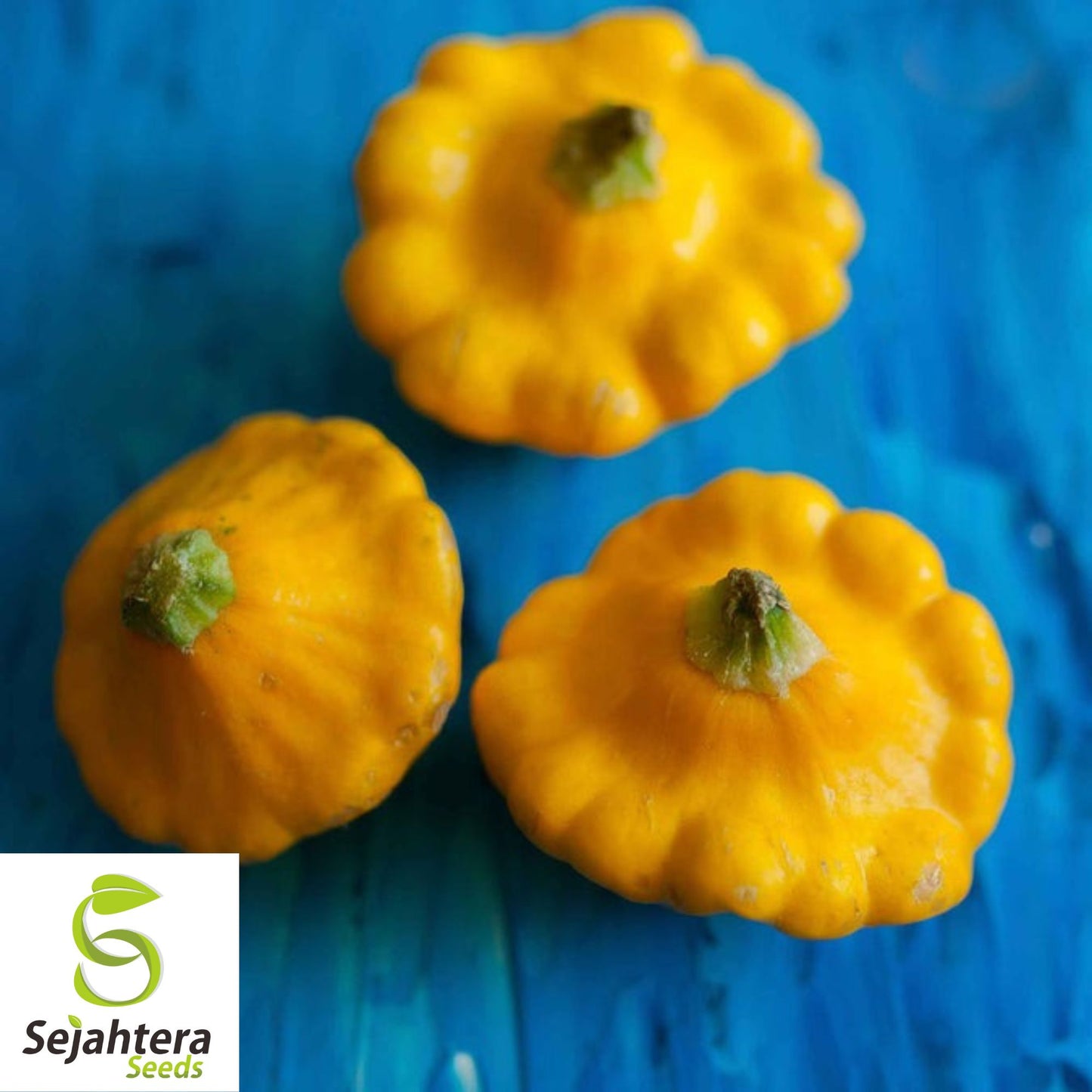 50 Early Yellow Bush "Patty Pan" Squash Seeds | Scallop Vegetable Seeds