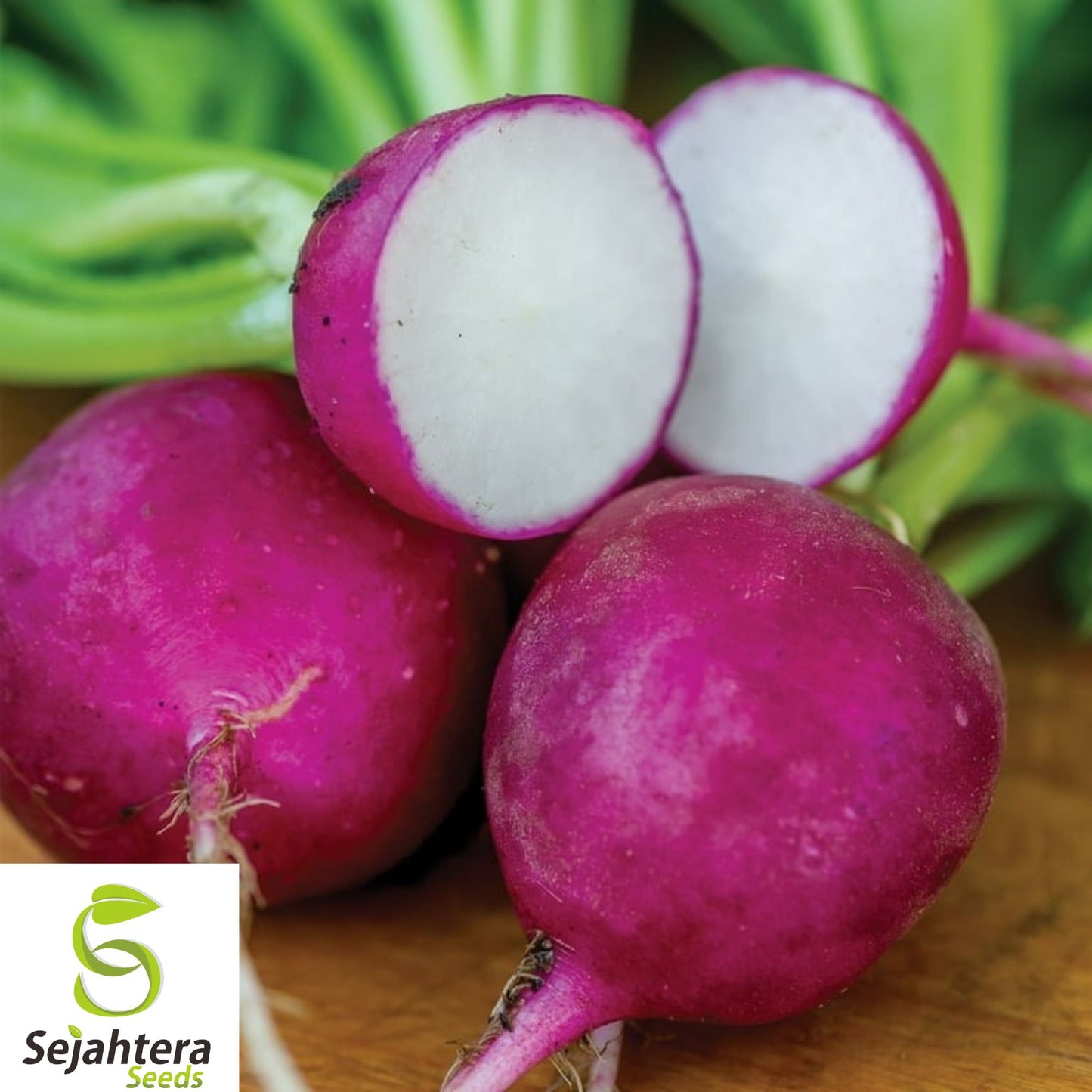 100+ Purple Plum Radish Seeds – Heirloom, Organic, Non-GMO, Crisp & Mildly Sweet