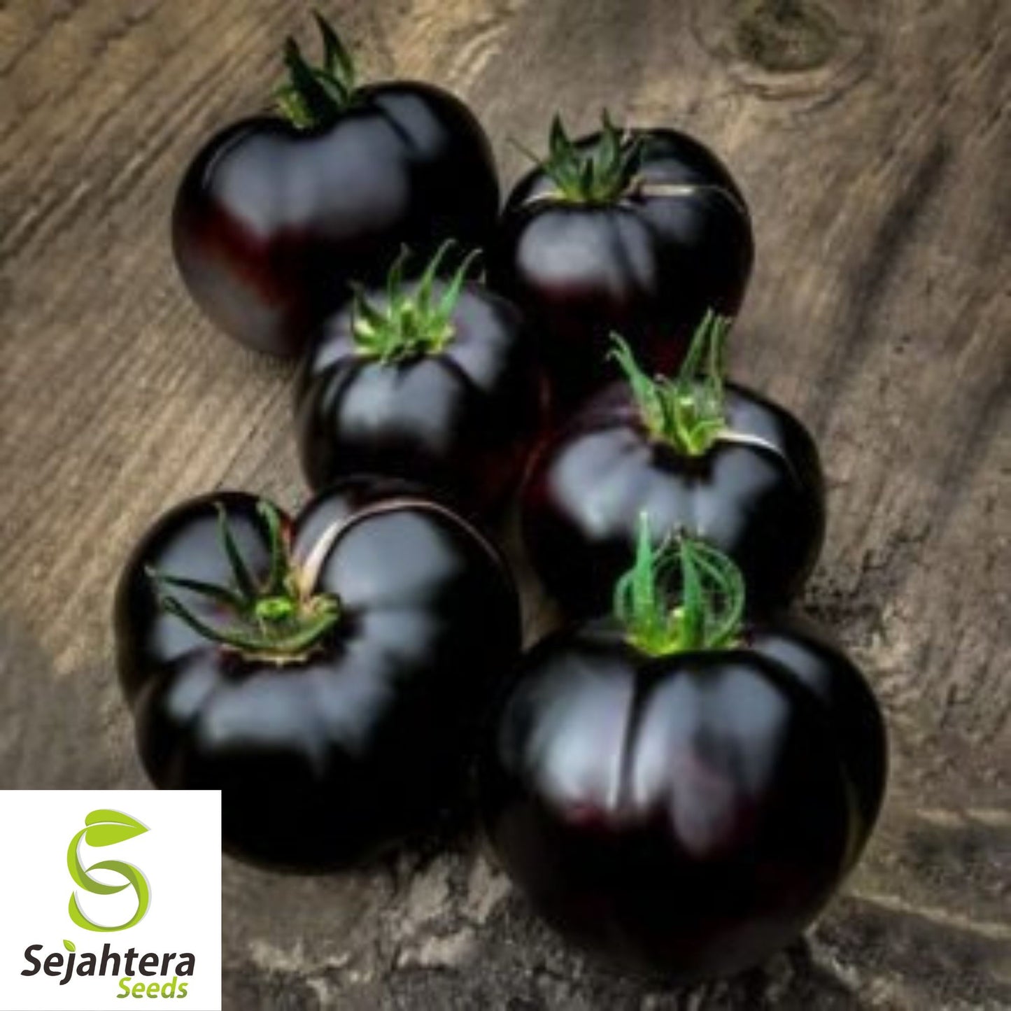 Black Sea Man Tomato Seeds - 30+ Heirloom, Organic, Non-GMO & Rare