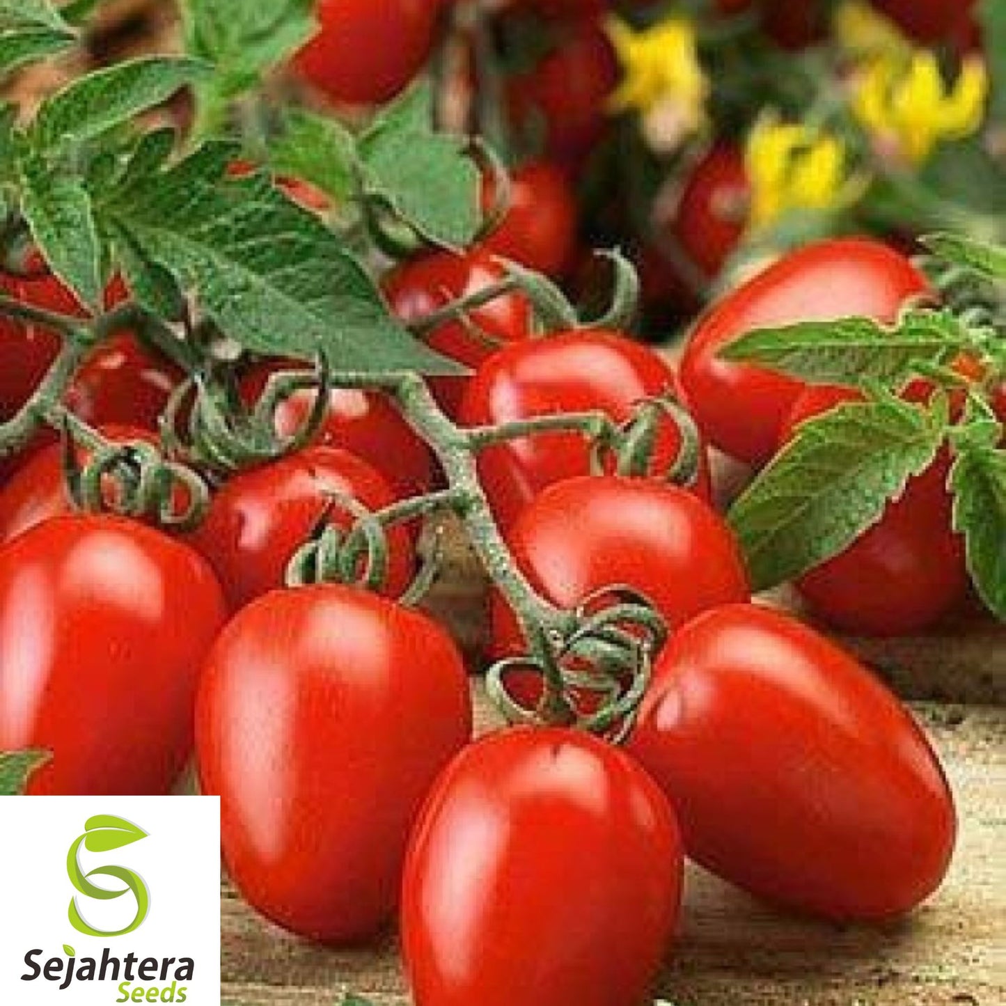 30+ Napoli Tomato Seeds - Heirloom, Organic, Non-GMO, Sweet & Meaty Paste Tomato