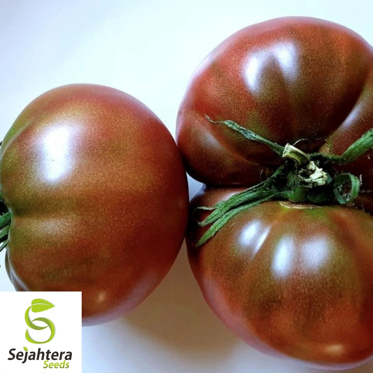 30 Black From Tula Tomato Seeds - Non-GMO, Heirloom & Rich Flavor Variety