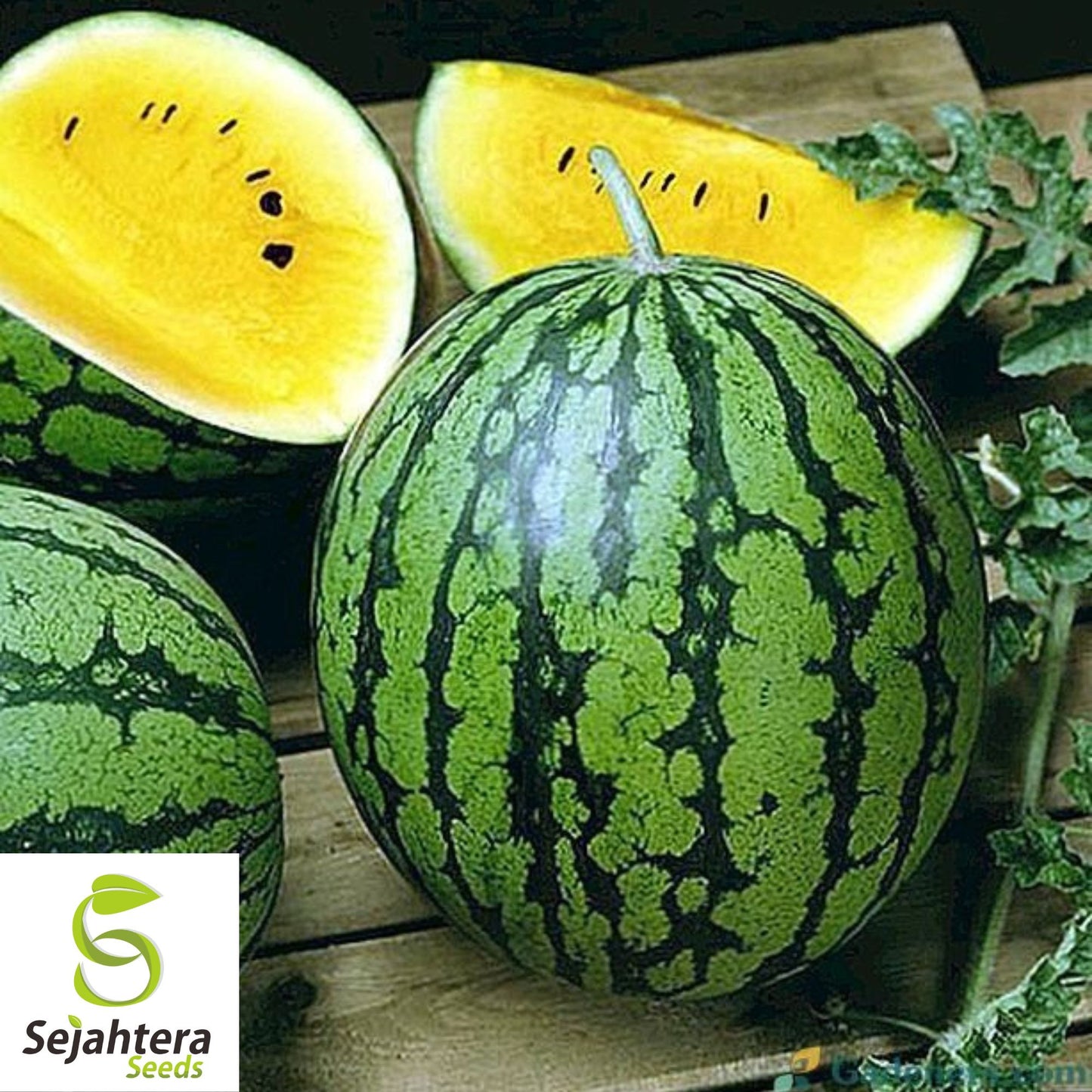 Yellow Gem Watermelon Seeds - 10+ Non-GMO, Rare, True Yellow & Very Sweet