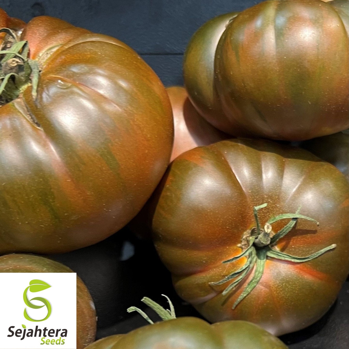 30 Black From Tula Tomato Seeds - Non-GMO, Heirloom & Rich Flavor Variety