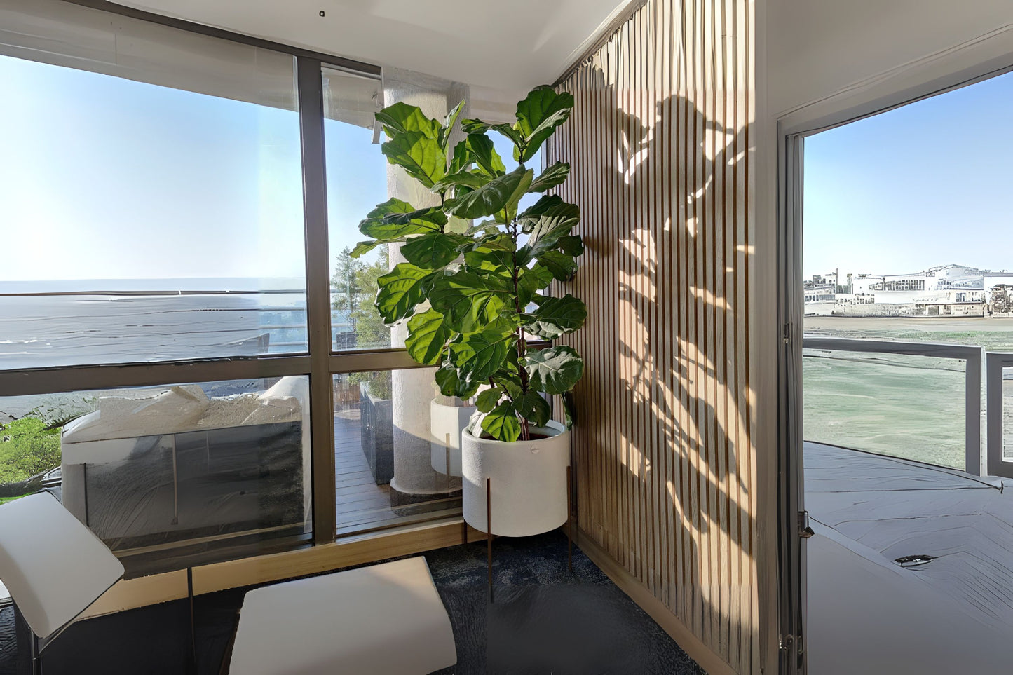 Fiddle Leaf Fig Plant 10" Pot | Ficus lyrata | Tropical Indoor Houseplant for Bright Spaces