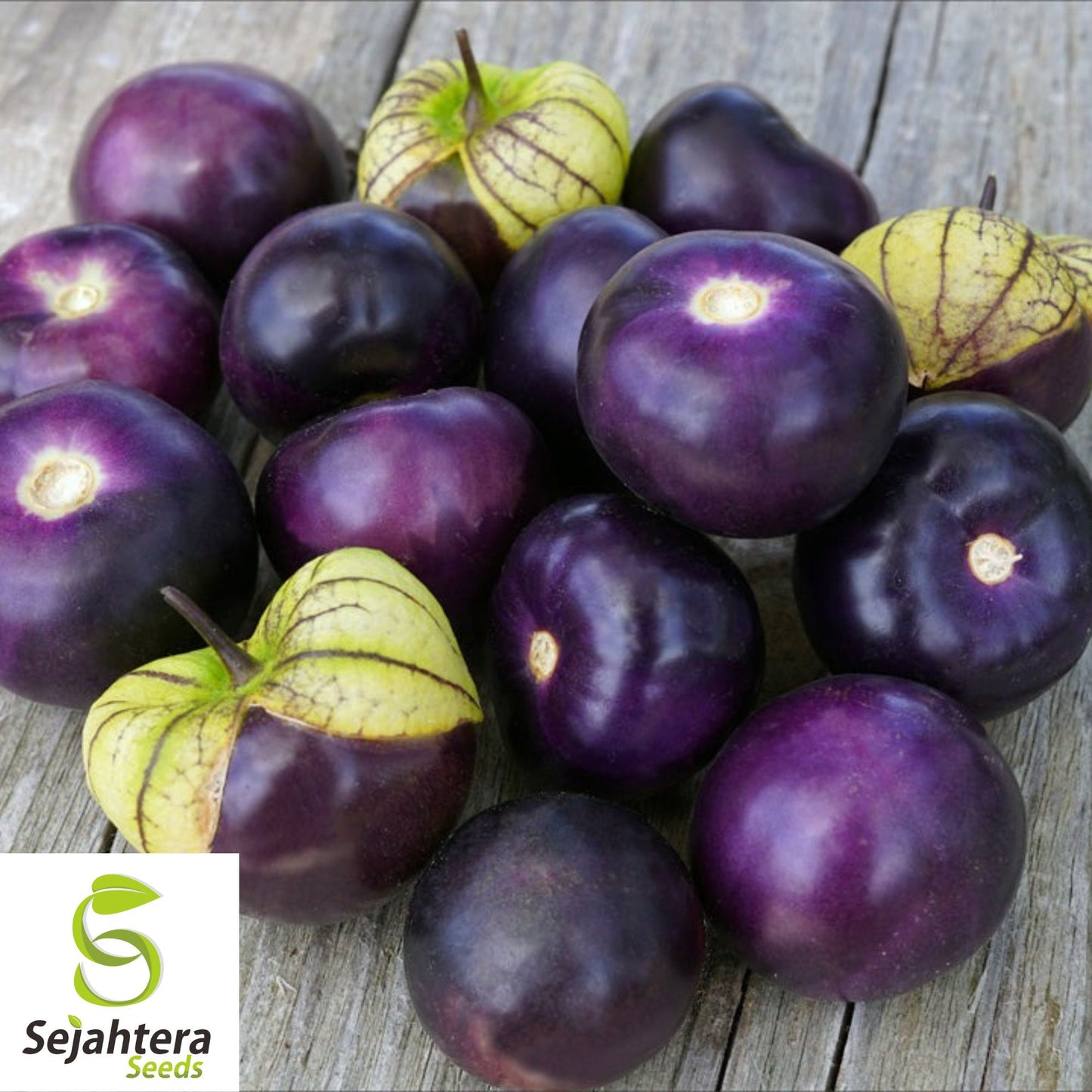 50 Purple Tomatillo Seeds - Heirloom, Non-GMO & Perfect for Salsa