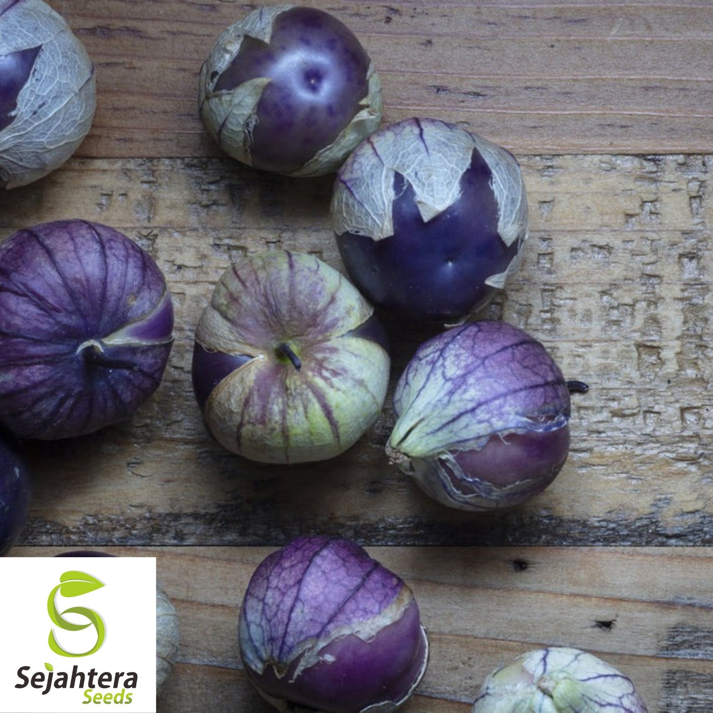 50 Purple Tomatillo Seeds - Heirloom, Non-GMO & Perfect for Salsa