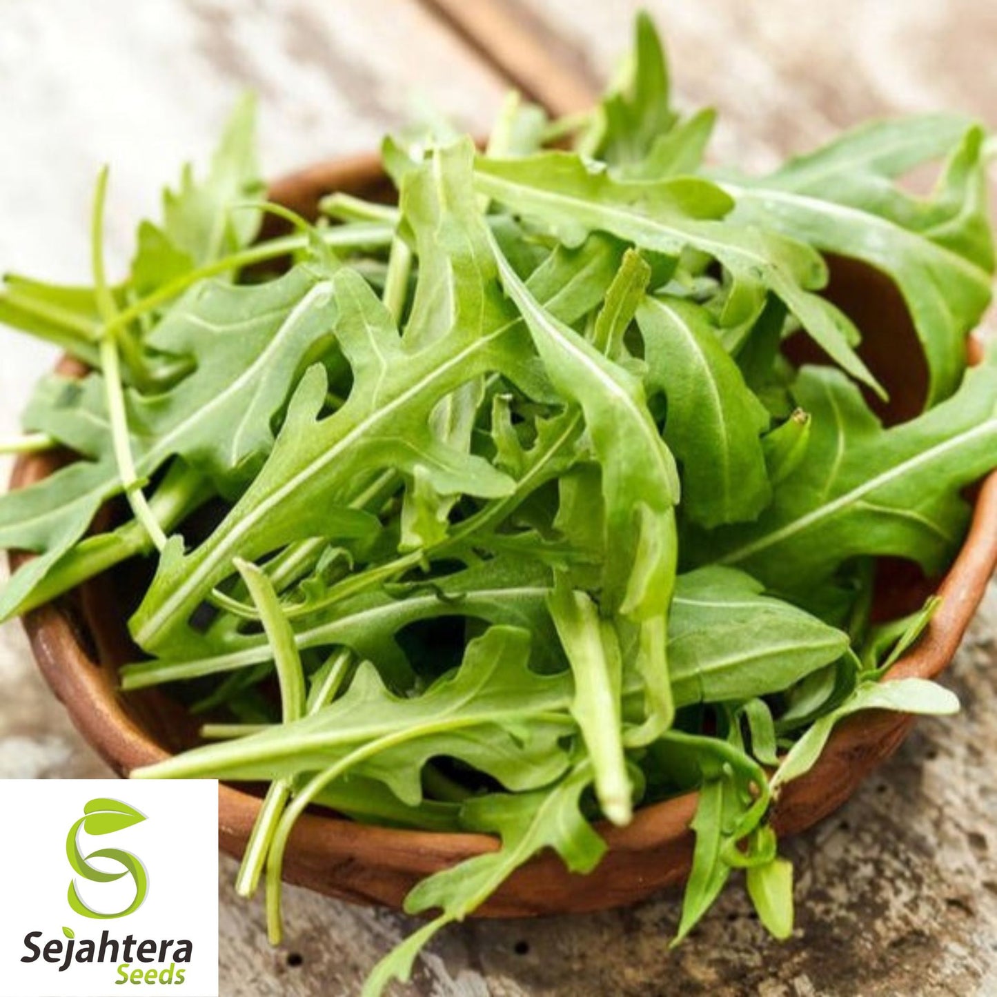 500 Rocket Arugula Seeds - Non-GMO, Spicy & Nutritious Greens