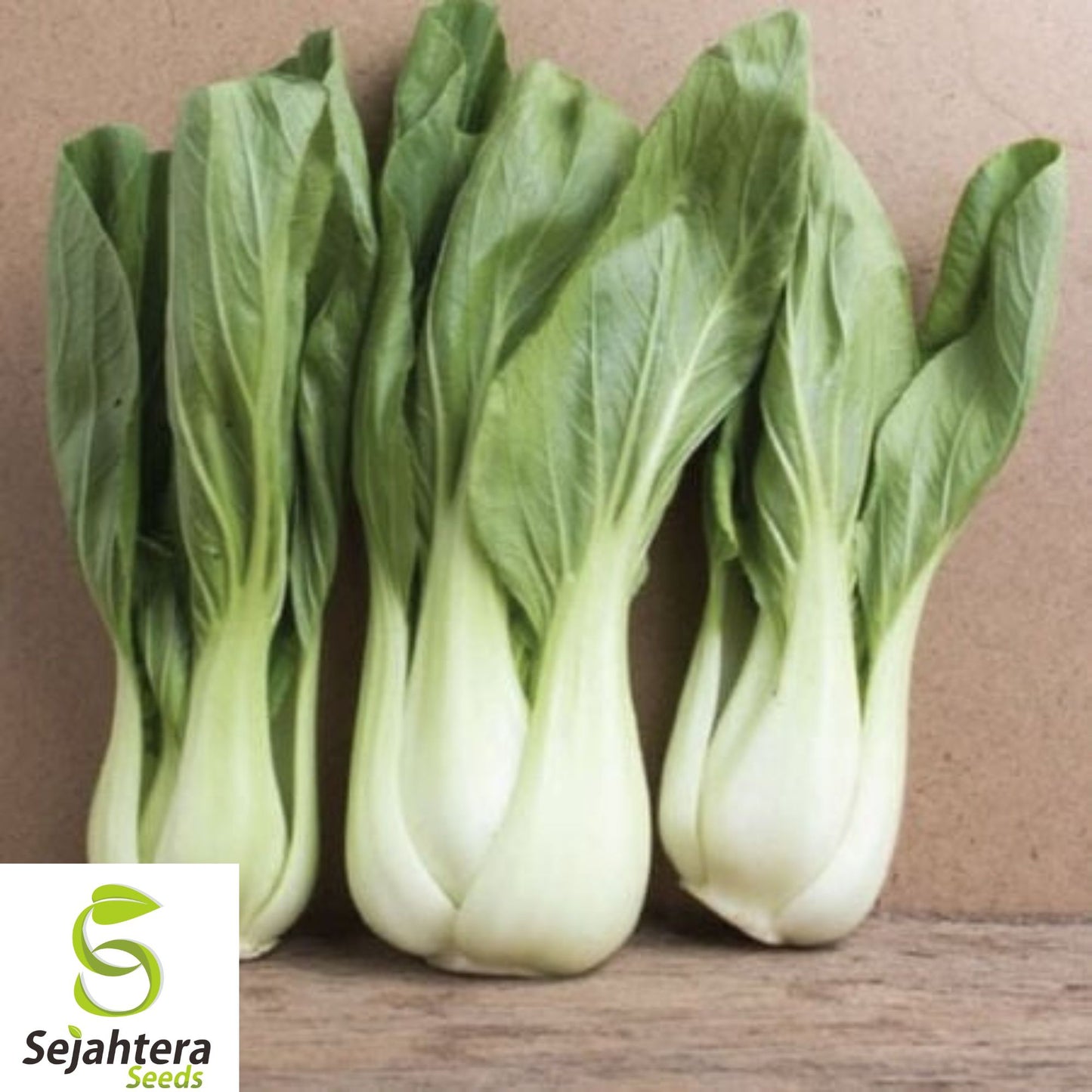 200+ Pak Choi White Stem Cabbage Seeds – Heirloom, Non-GMO, Fresh & Fast-Growing