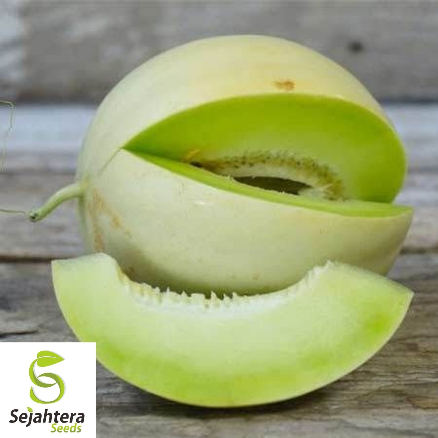 Honey Dew Green Flesh Cantaloupe Seeds 50+ | Sweet Melon NON-GMO USA