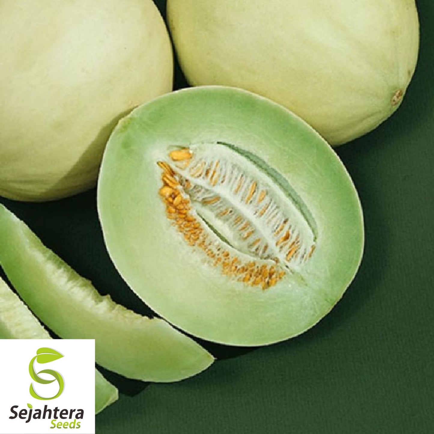 50+ Honey Dew Cantaloupe Seeds - Green Flesh Melon, Sweet Fruit, Non-GMO