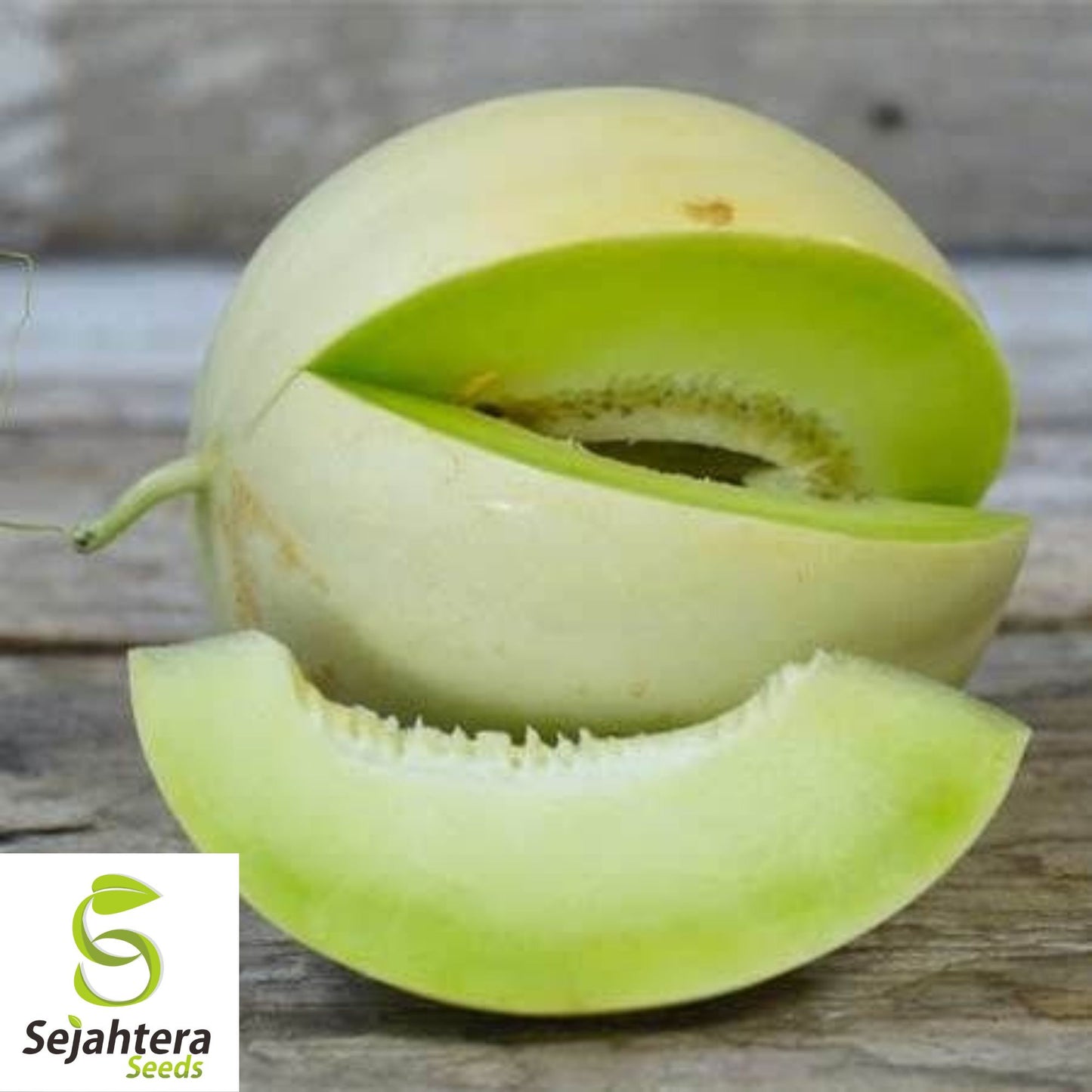 50+ Honey Dew Cantaloupe Seeds - Green Flesh Melon, Sweet Fruit, Non-GMO