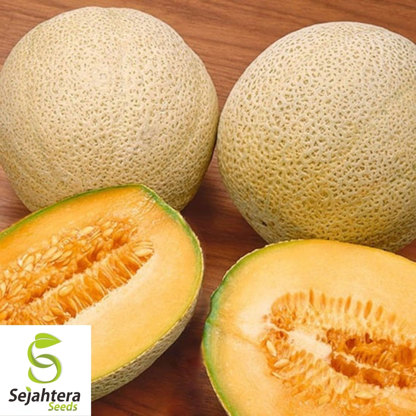 Honey Rock Cantaloupe Seeds 50+ | Sweet Melon Fruit NON-GMO USA Seller