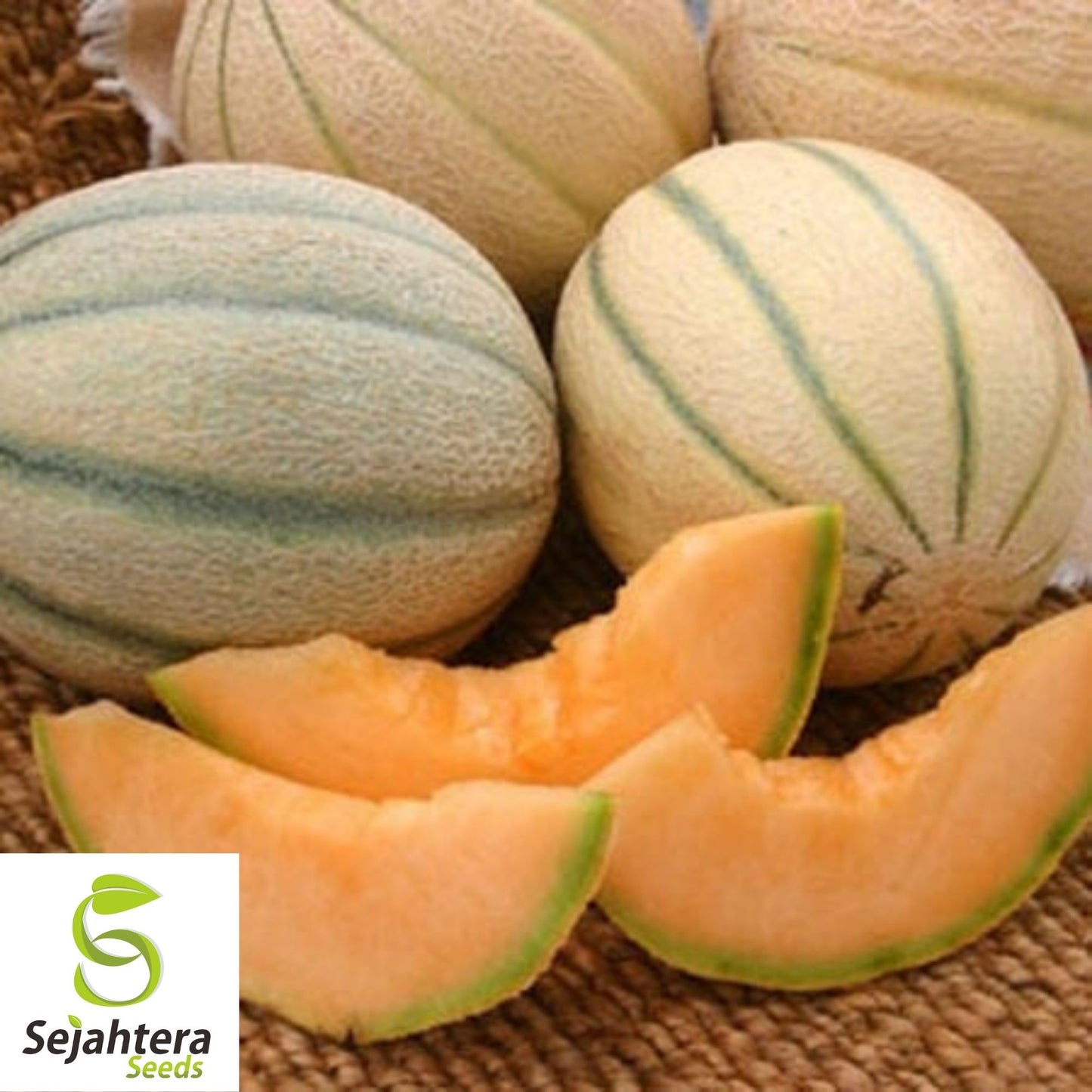 Honey Rock Cantaloupe Seeds 50+ | Sweet Melon Fruit NON-GMO USA Seller