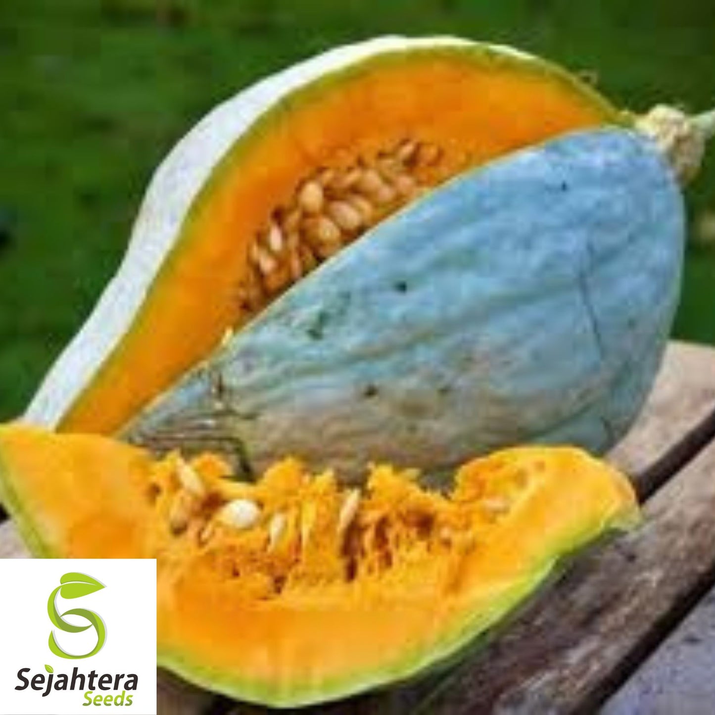 Giant Blue Hubbard Squash Seeds - 10 Heirloom - Sweet & Rare - Non-GMO