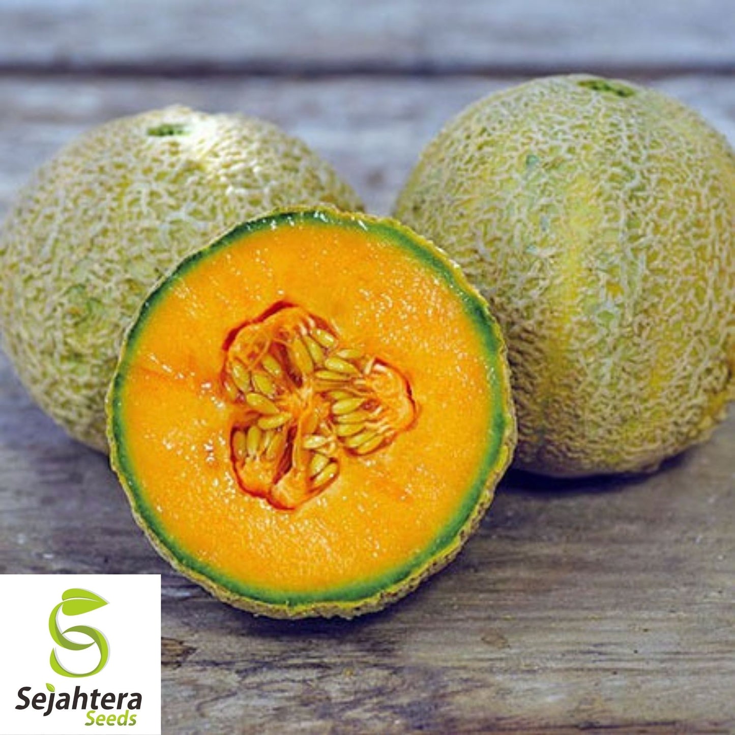Honey Rock Cantaloupe Seeds 50+ | Sweet Melon Fruit NON-GMO USA Seller