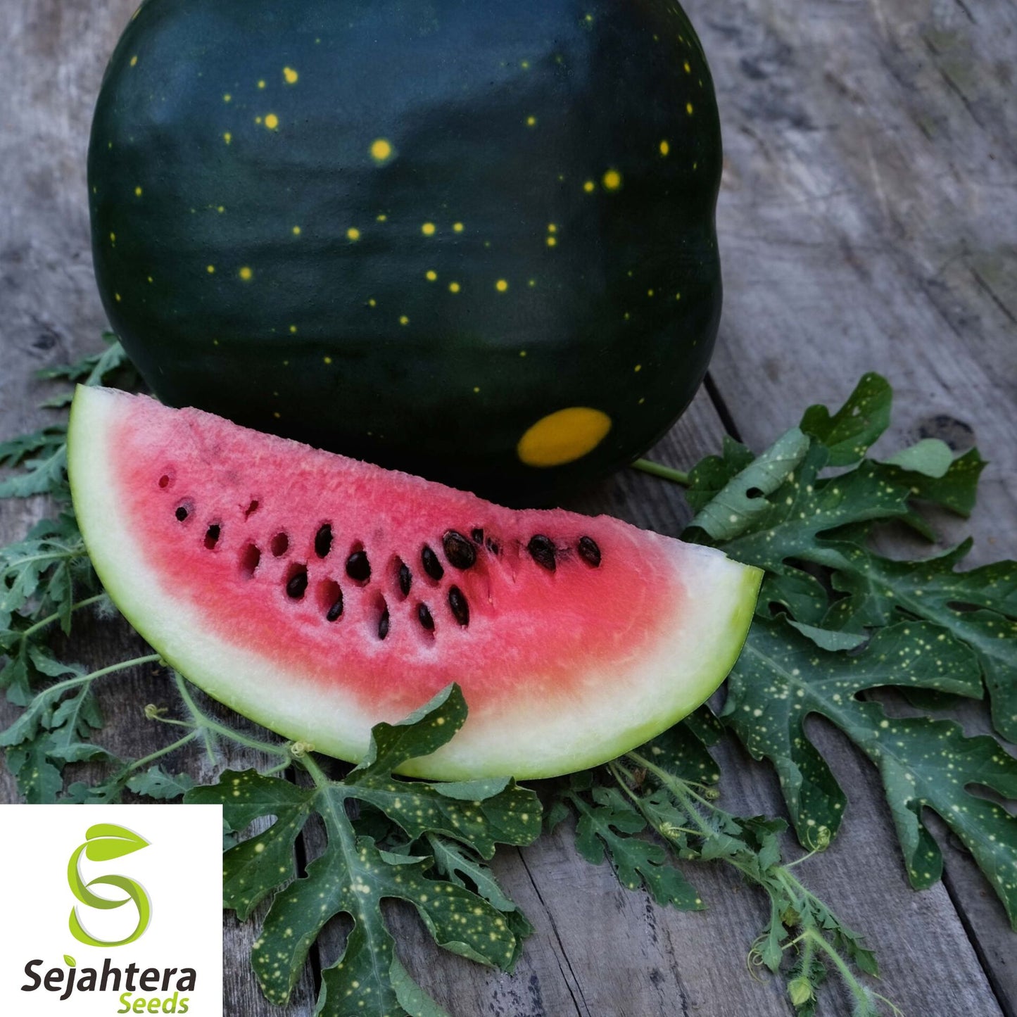 20+ Moon and Stars Red Watermelon Seeds - Heirloom, Non-GMO, 15-25 lbs, Sweet & Rare