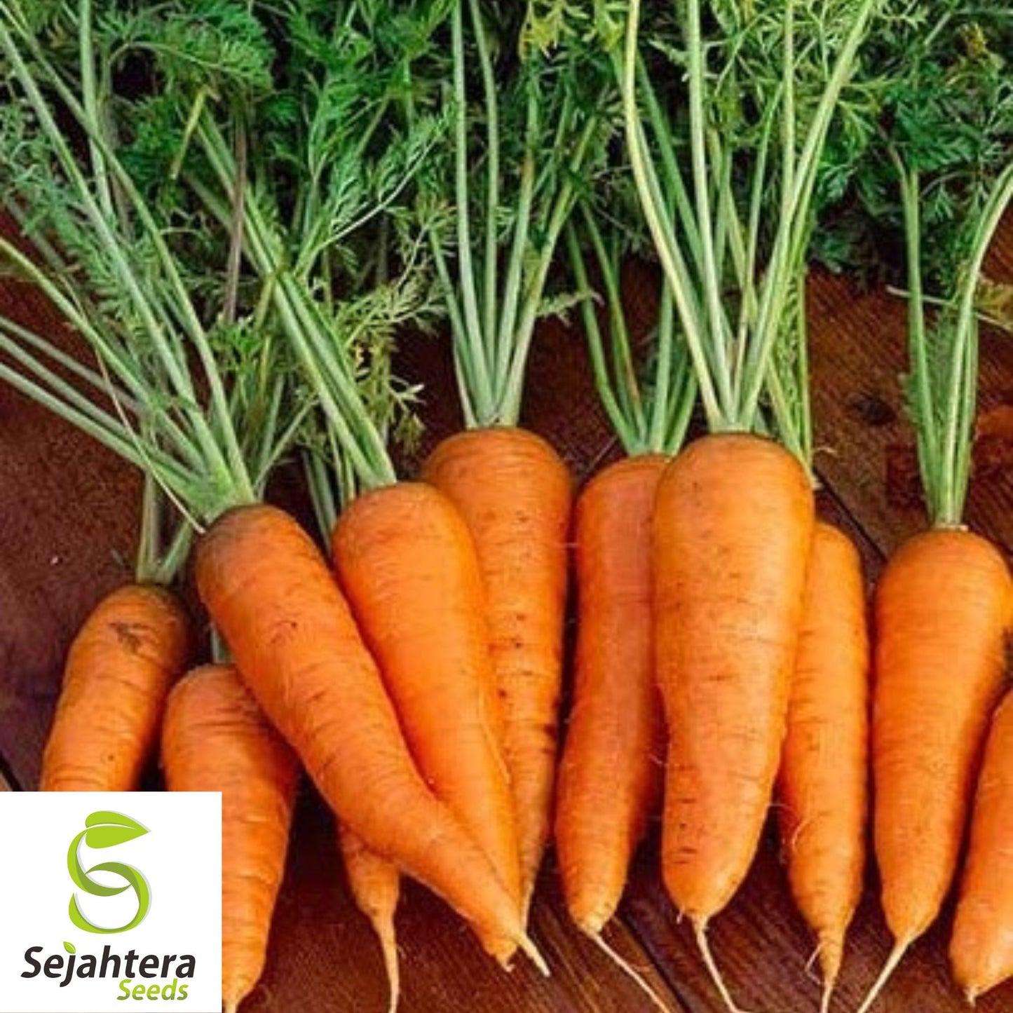 300 Danvers Carrot Seeds - Non-GMO, Sweet & Versatile Heirloom Variety