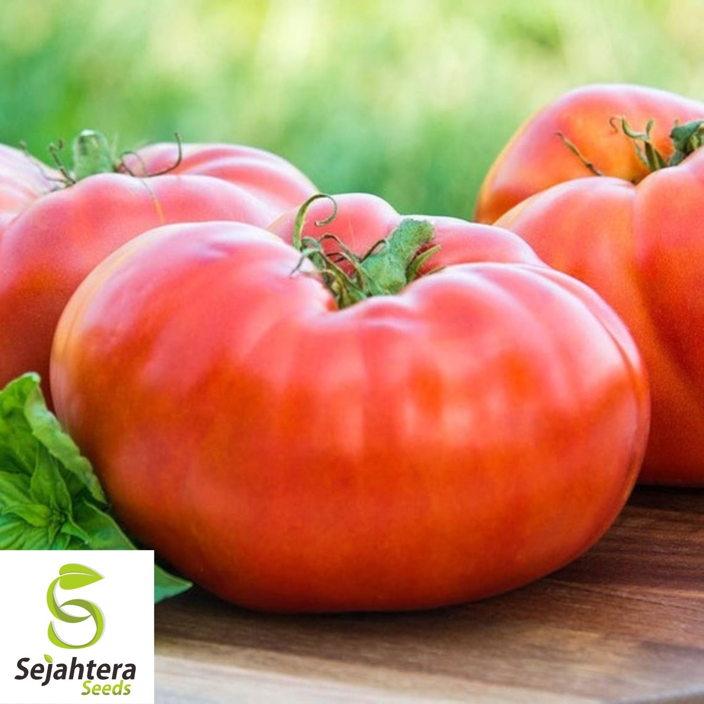 50 Red Brandywine Tomato Seeds - Heirloom, Non-GMO, Sweet & Juicy Variety