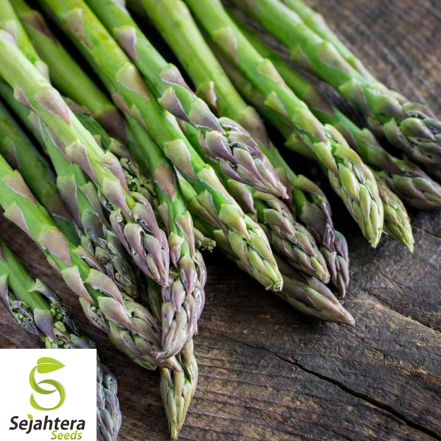 Mary Washington Asparagus Seeds - 100+ Heirloom, Organic, Non-GMO & Perennial