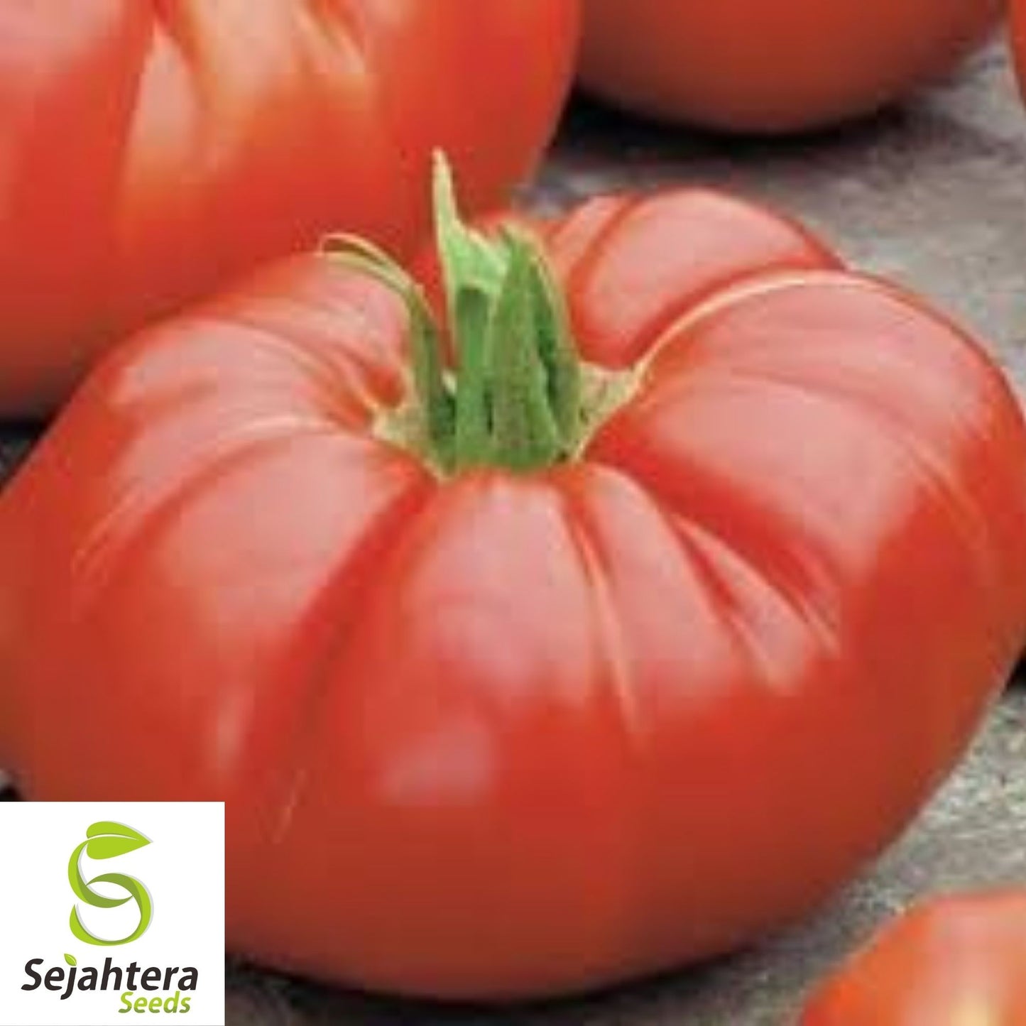 Beefsteak Tomato Seeds 100 Ct | Heirloom NON-GMO Vegetable Garden USA
