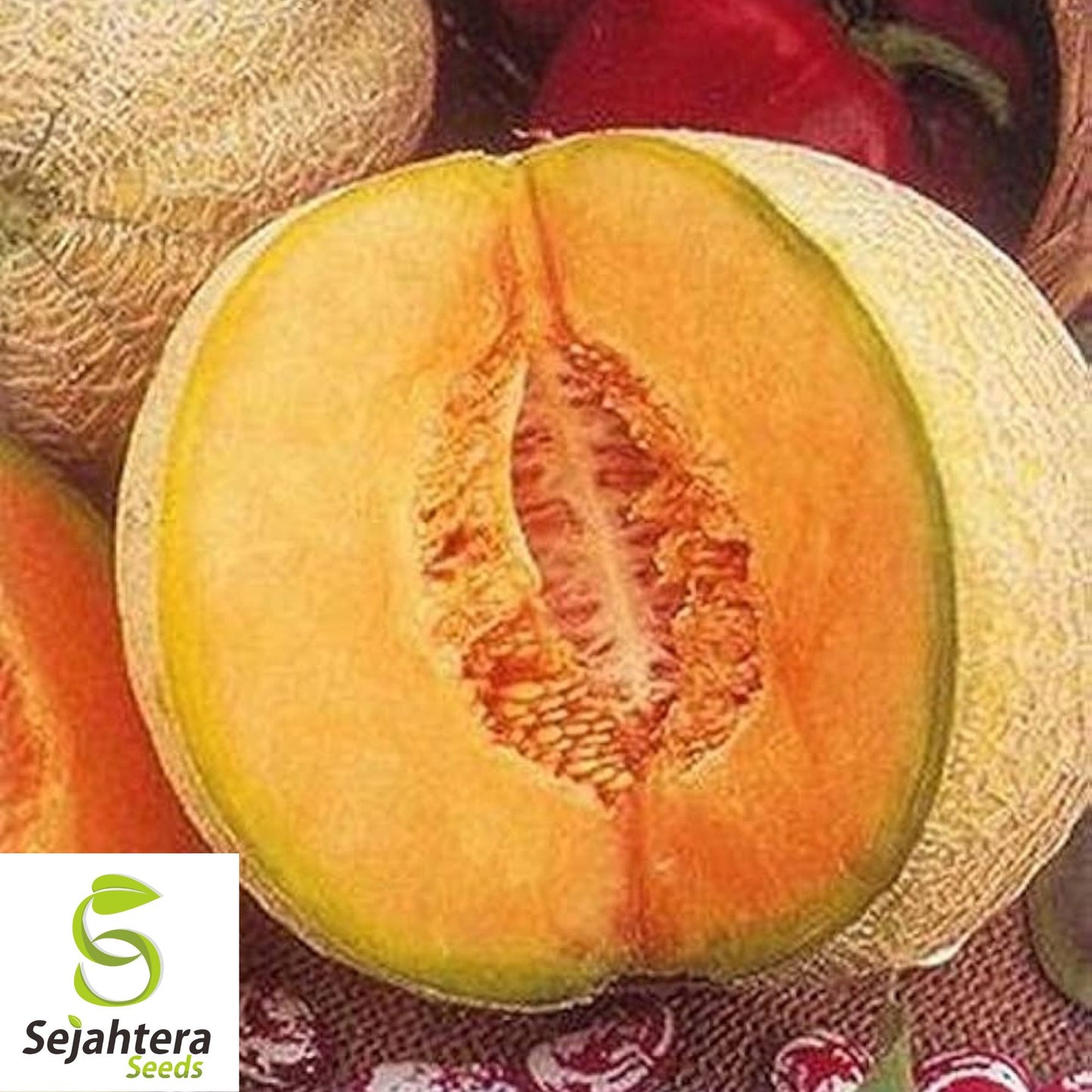 Iroquois Cantaloupe Seeds 50+ | Muskmelon Fruit Heirloom Garden USA