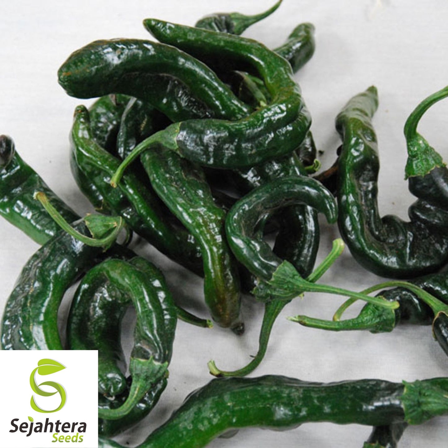 25 Pasilla Bajio Pepper Seeds - Non-GMO, Mild & Smoky Mexican Variety