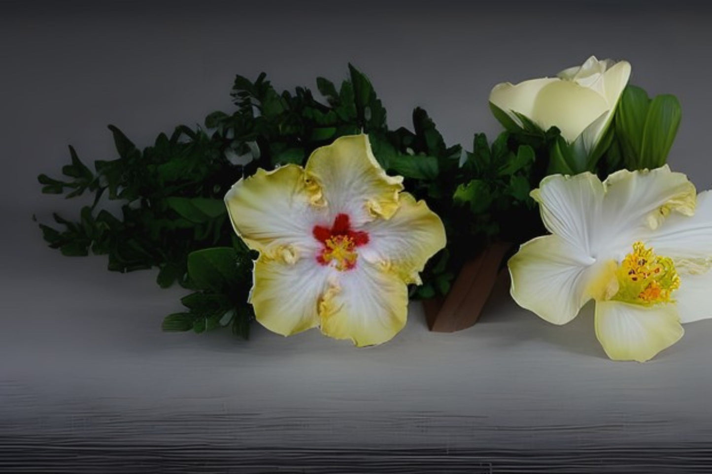 Tropical Hibiscus Live Plant - Evangeline, Yellow White Pink Ruffled Flower - Hibiscus rosa-sinensis - Starter Size, 4 Inch Root Zone