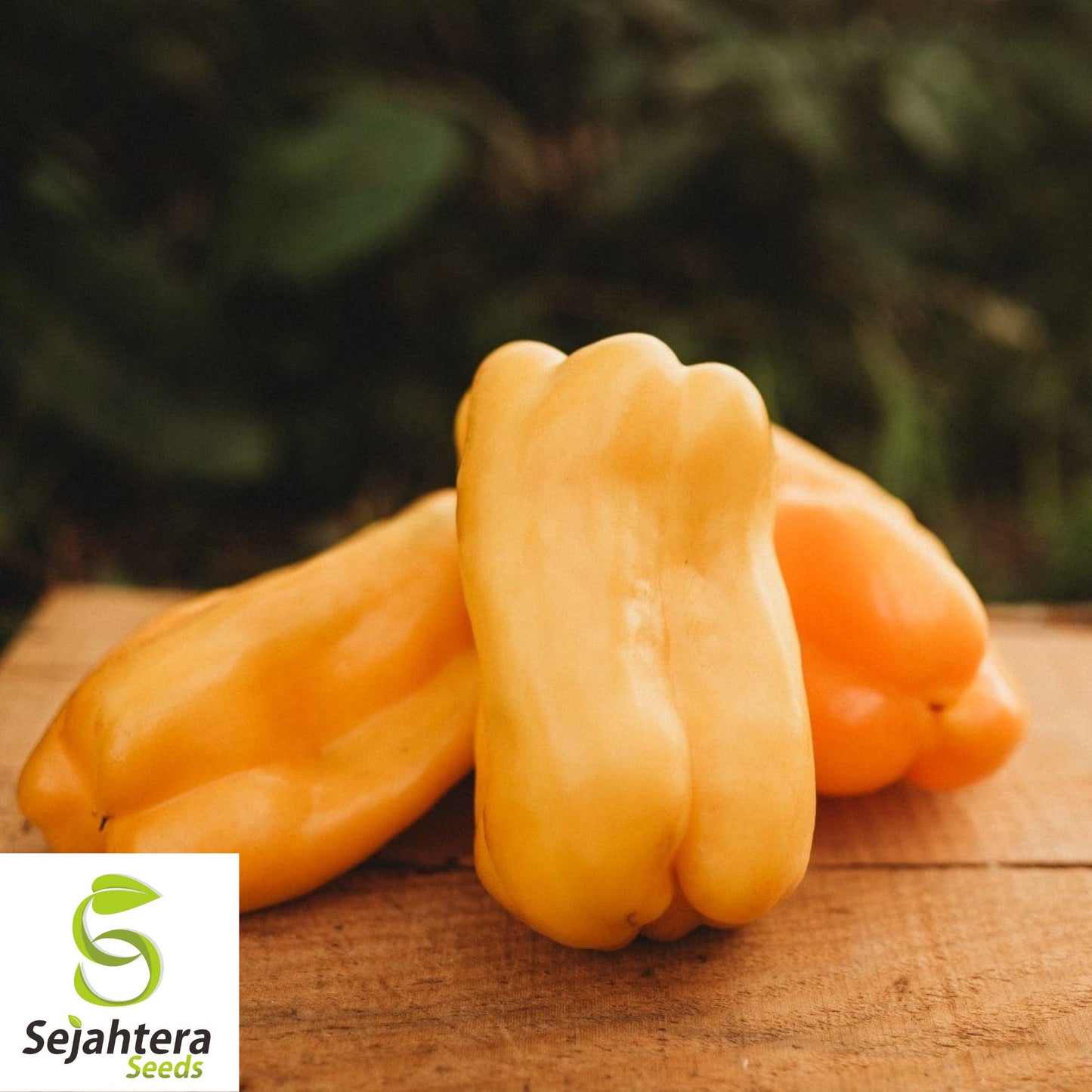 25+ Sunbright Yellow Bell Pepper Seeds - Heirloom, Non-GMO Sweet Variety