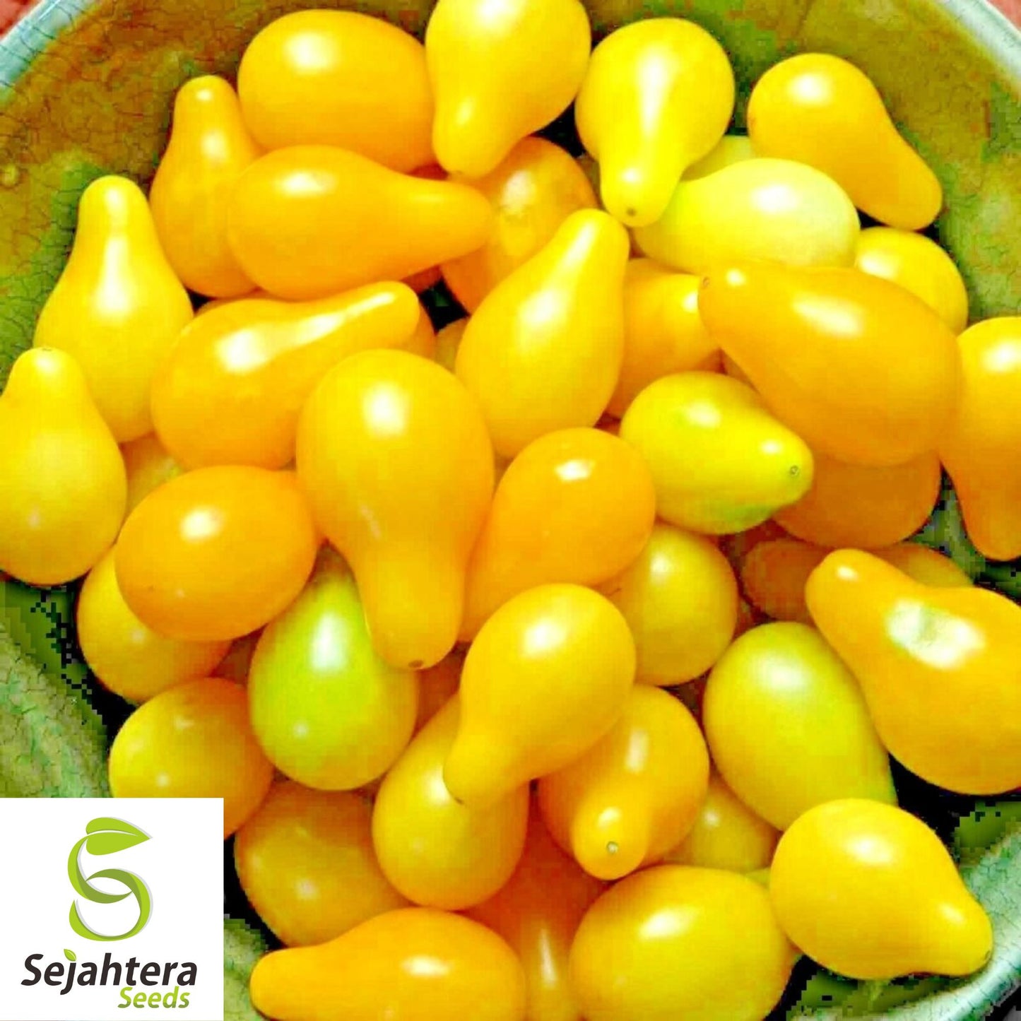 30 Yellow Pear Tomato Seeds - Non-GMO, Sweet & Vibrant Heirloom Variety
