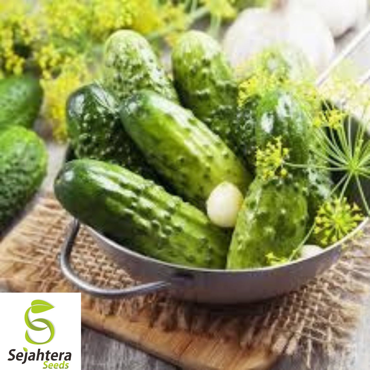 100+ Boston Pickling Cucumber Seeds - Heirloom, Non-GMO, Crisp & High-Yield
