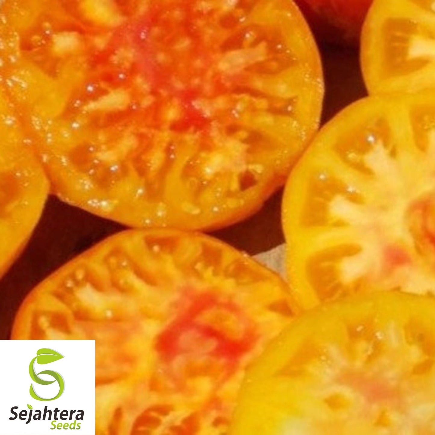 50 Hillbilly Heirloom Tomato Seeds - Indeterminate, Non-GMO, Sweet & Juicy