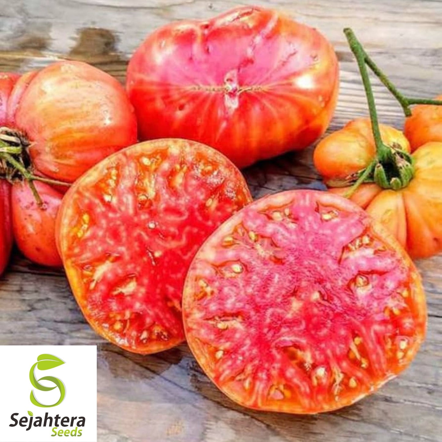 50 Hillbilly Heirloom Tomato Seeds - Indeterminate, Non-GMO, Sweet & Juicy