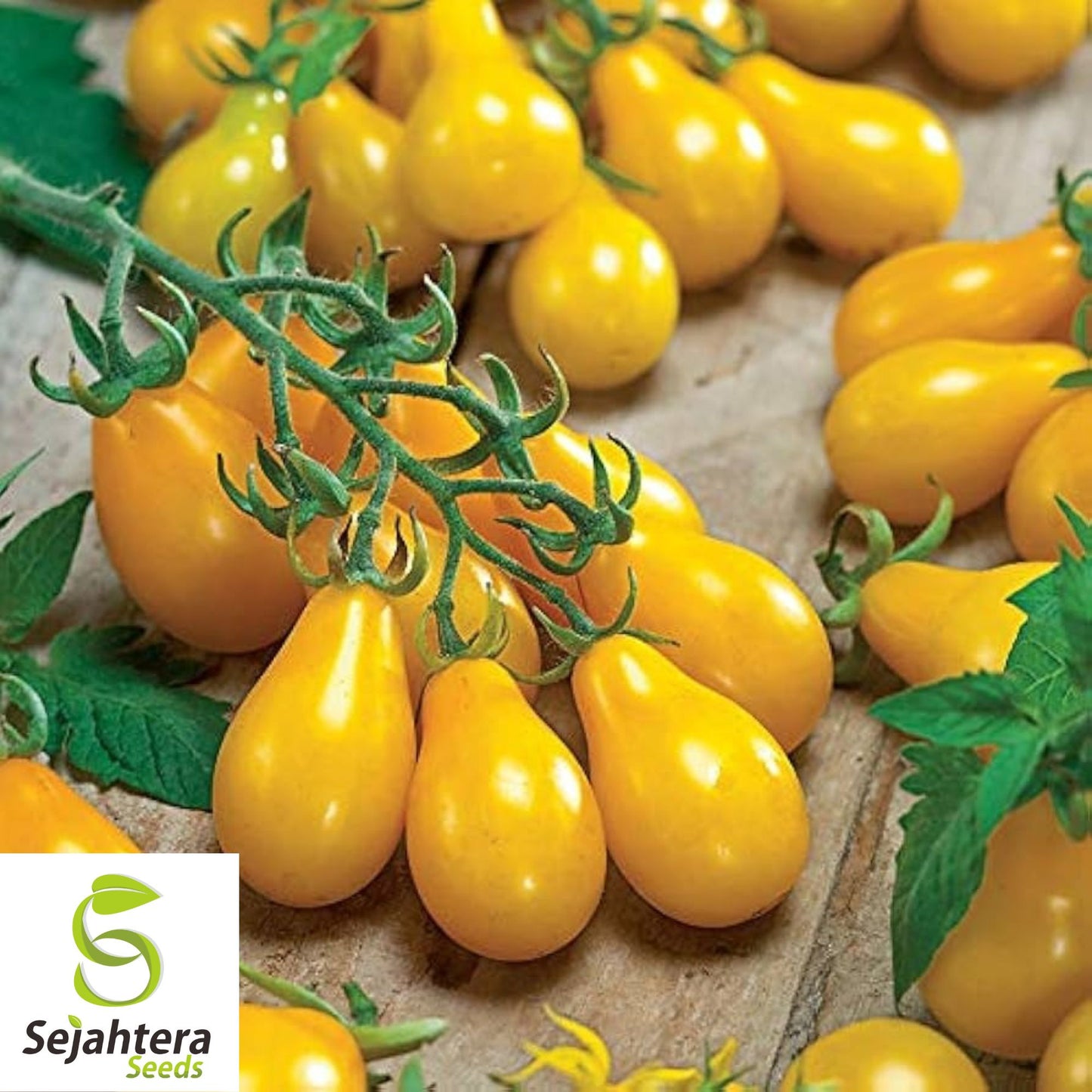 30 Yellow Pear Tomato Seeds - Non-GMO, Sweet & Vibrant Heirloom Variety