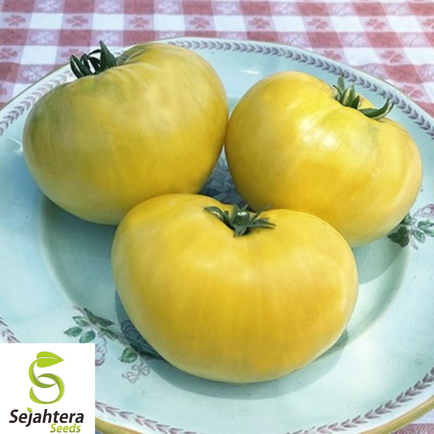 30+ Great White Tomato Seeds - Heirloom, Organic, Rare, Sweet & Juicy Beefsteak