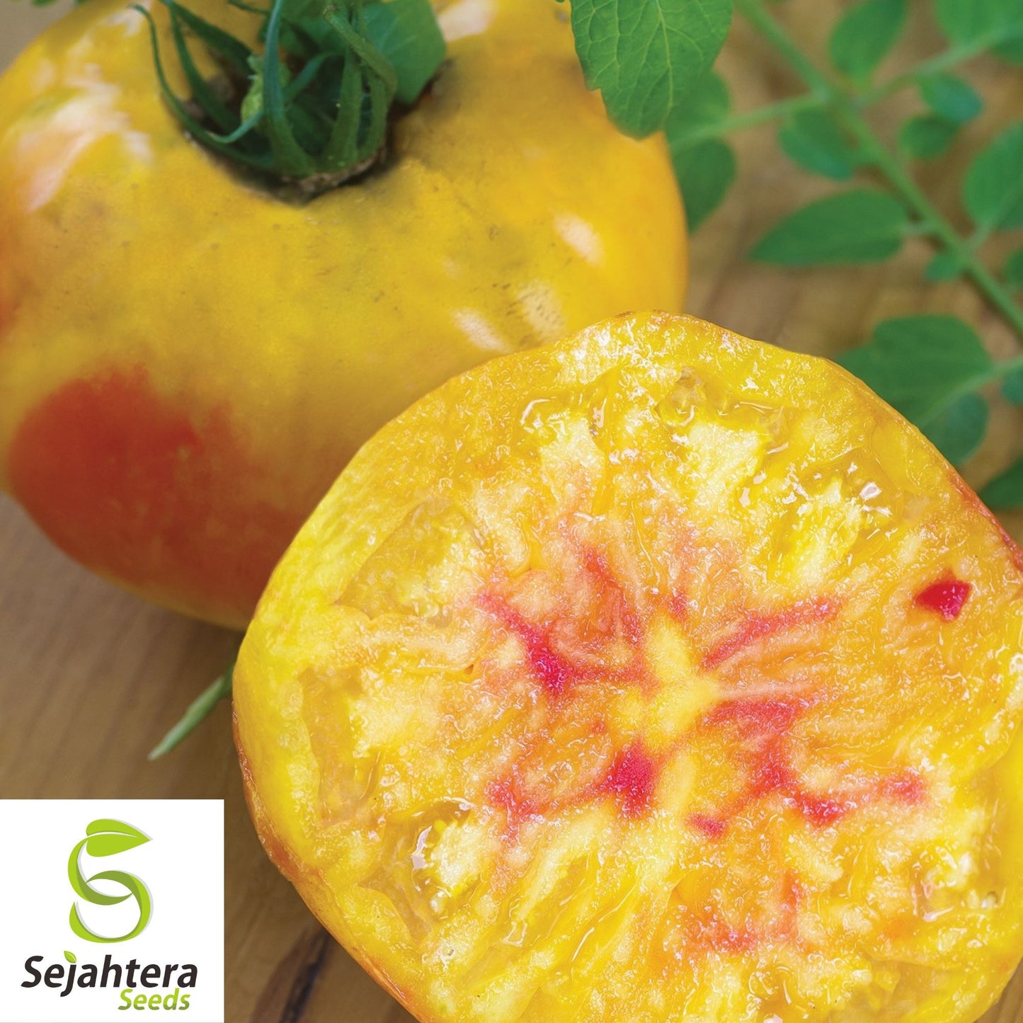 50 Hillbilly Heirloom Tomato Seeds - Indeterminate, Non-GMO, Sweet & Juicy