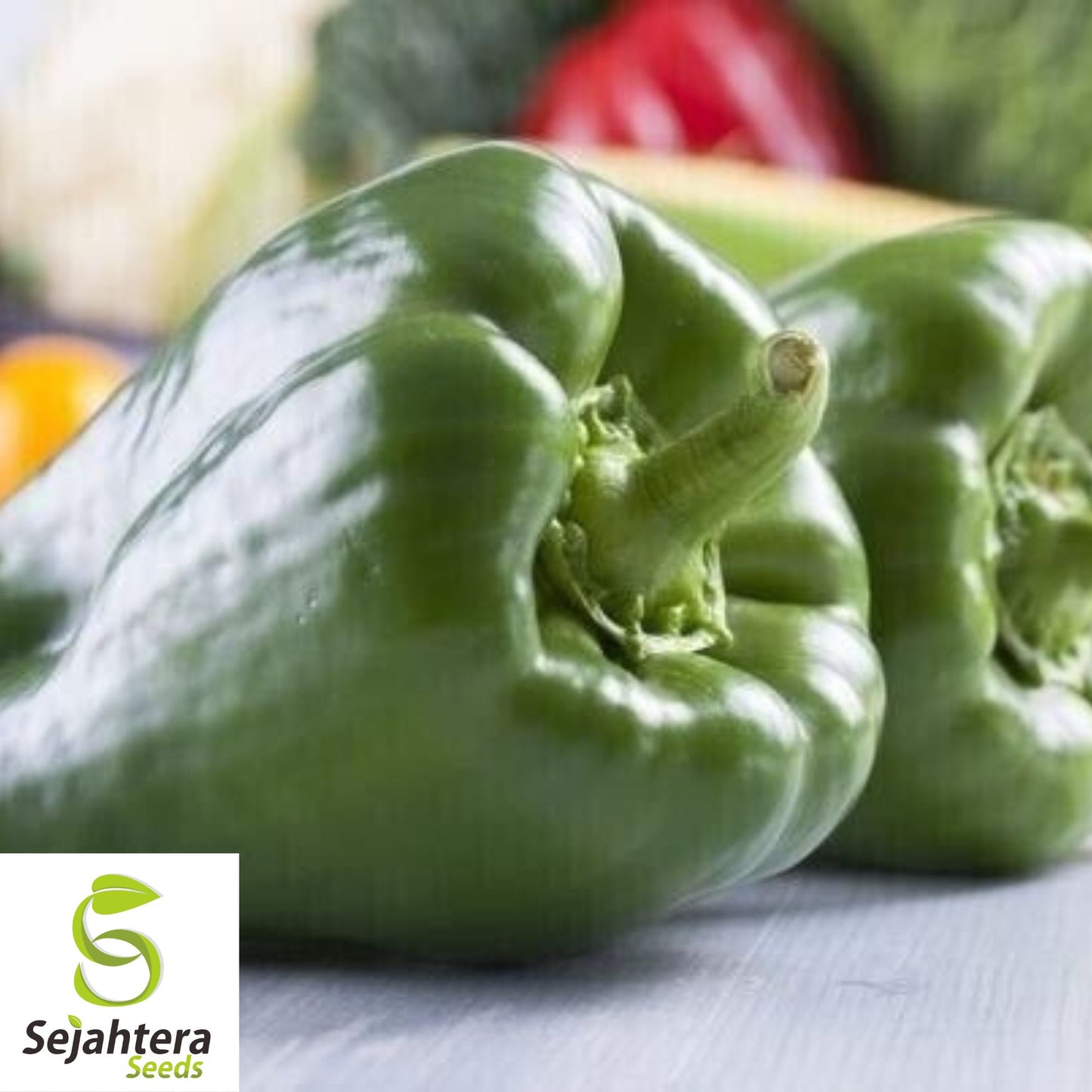 Big Bertha Sweet Pepper Seeds - 100+ Organic Heirloom - Huge & Non-GMO