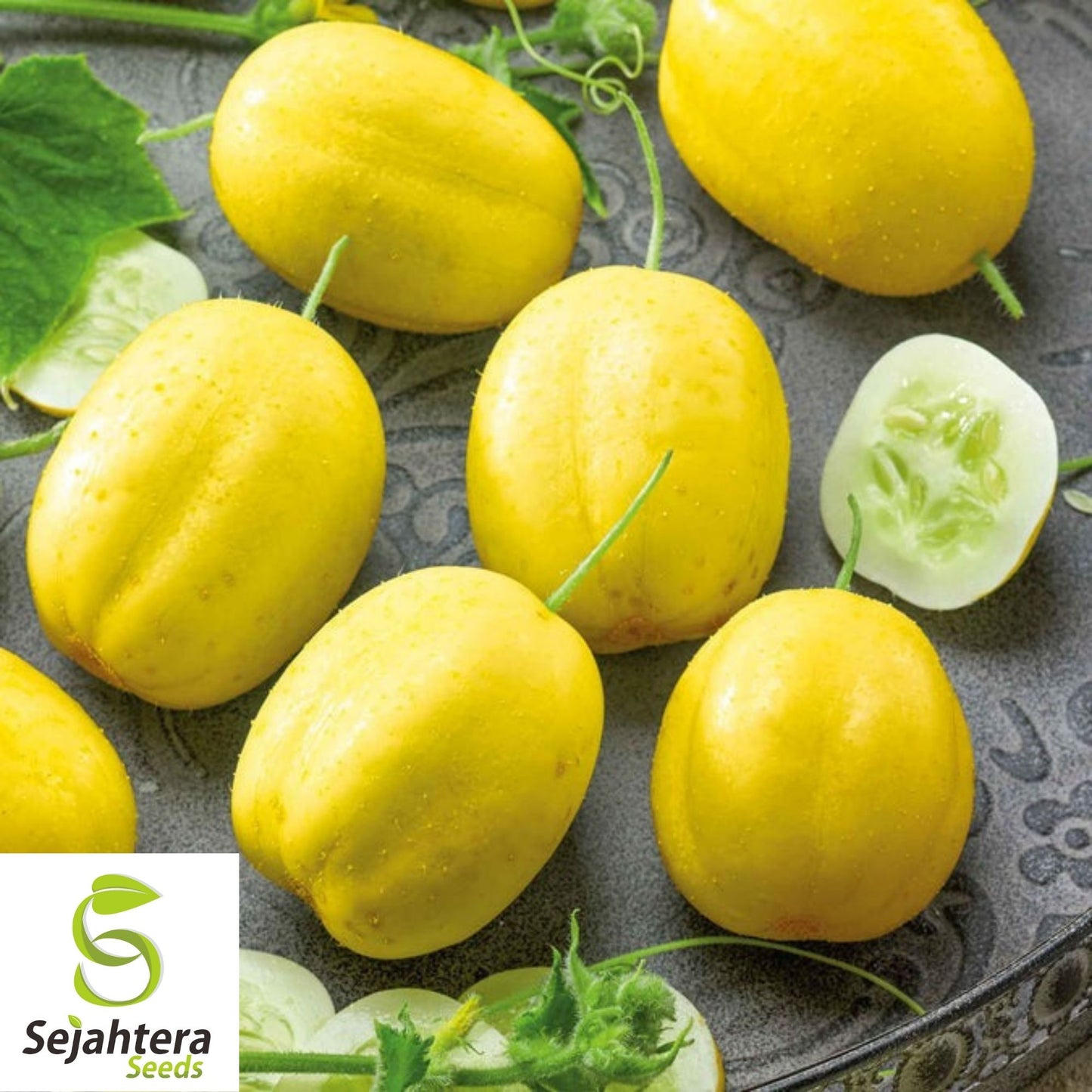 Lemon Cucumber Seeds 60+ | Heirloom Vegetable Garden NON-GMO USA