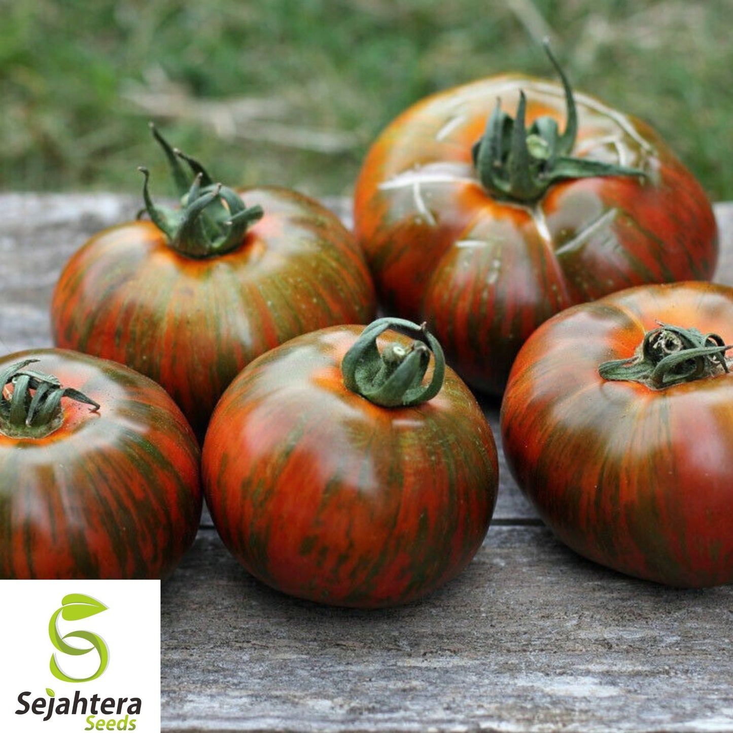 10+ Chocolate Stripe Tomato Seeds - Heirloom, Non-GMO, Rare & Sweet Flavor