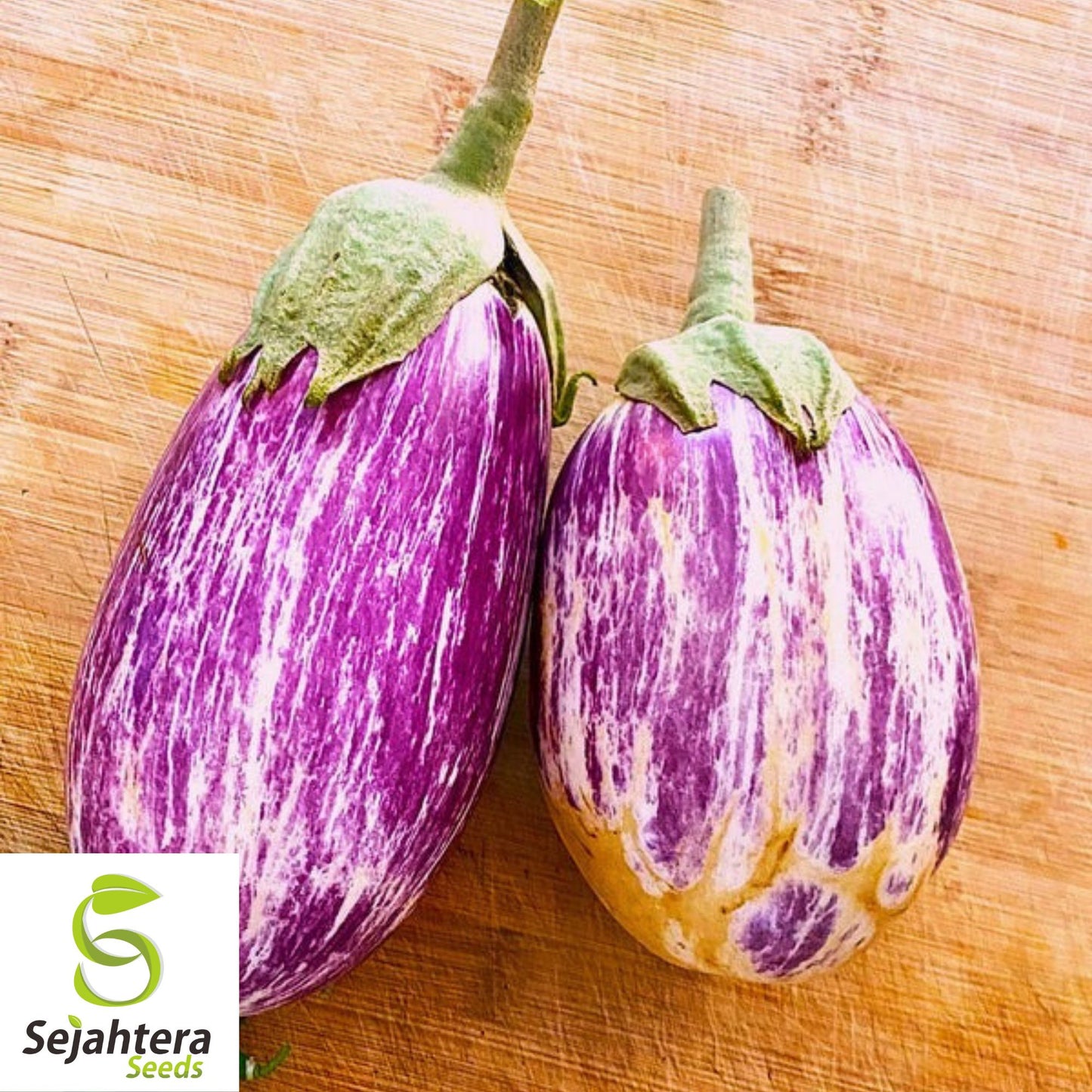 50+ Pandora Striped Rose Eggplant Seeds - Heirloom, Non-GMO Vegetable