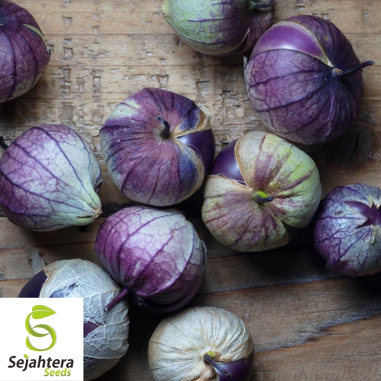 50 Deep Purple Tomatillo Seeds - Non-GMO, Physalis ixocarpa, Vibrant & Sweet