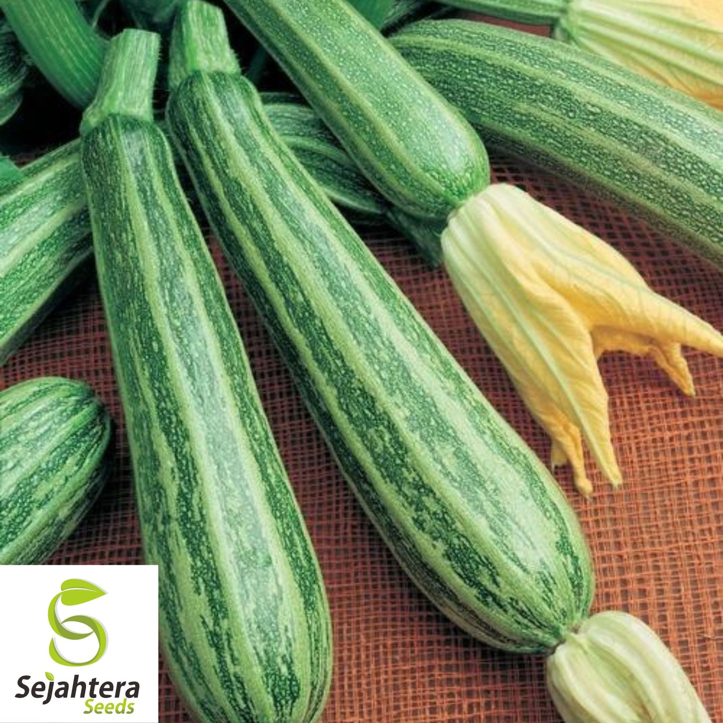 15 Cocozelle Zucchini Seeds - Summer Squash, Non-GMO, Tender Vegetable