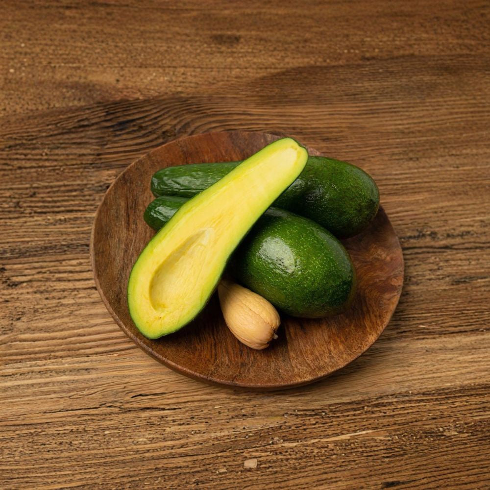 Russell Avocado Tree – Persea americana Grafted Live Fruit Tree | 2–3 Feet Tall | 3-Gallon Pot Florida Favorite Variety | Large Smooth Fruit | Fast Establishing