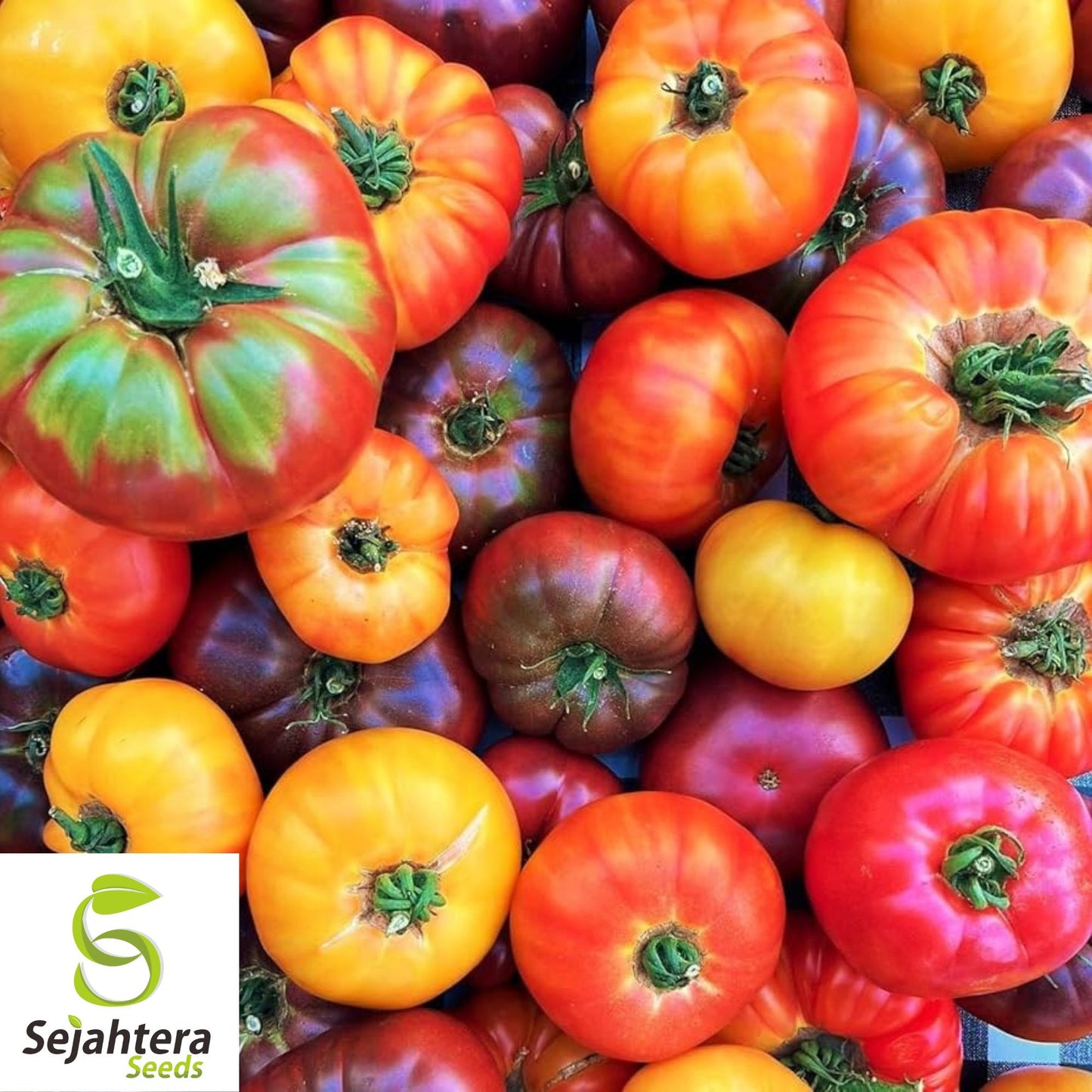 Rainbow Cherry Tomato Seeds - 60+ Heirloom, Organic, Non-GMO & Fresh