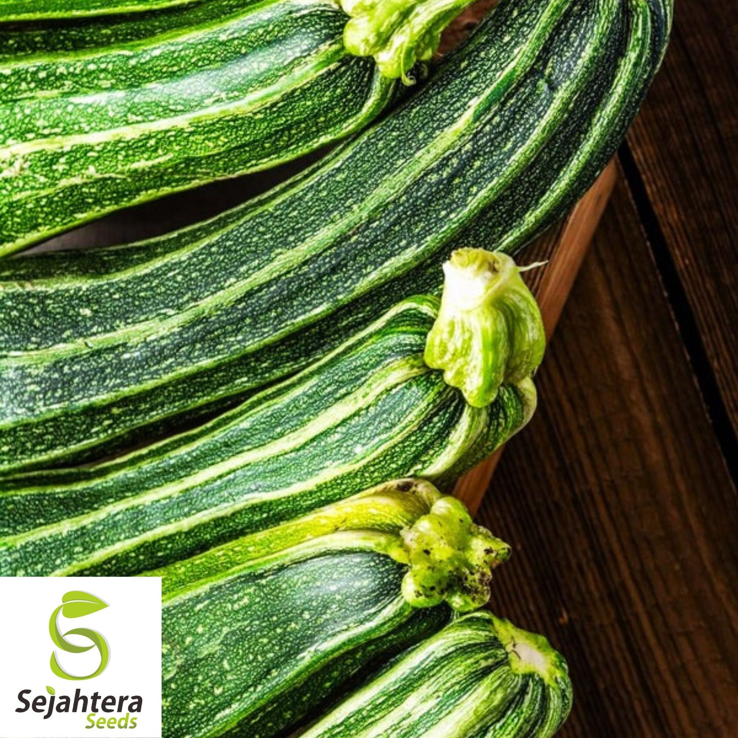15 Cocozelle Zucchini Seeds - Summer Squash, Non-GMO, Tender Vegetable