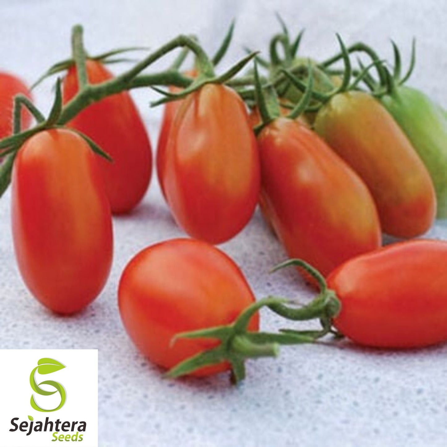 30 Baby Roma Tomato Seeds - Non-GMO, Sweet & Juicy Snack-Size Variety