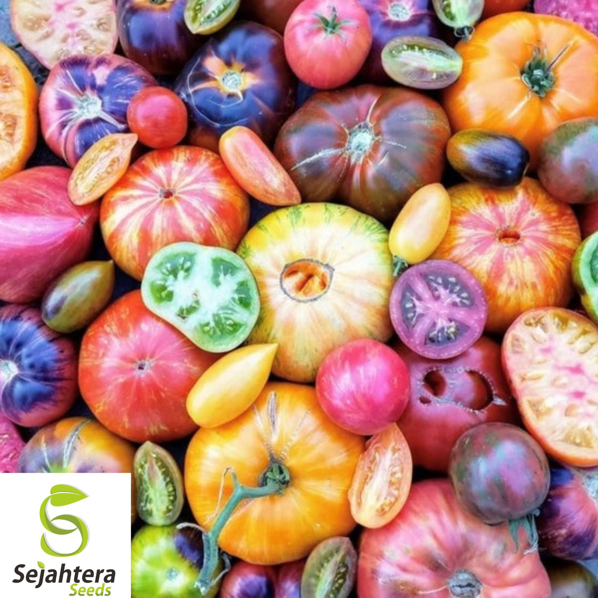 30+ Rainbow Beefsteak Mix Tomato Seeds - Heirloom, Organic, Non-GMO, Colorful & Juicy