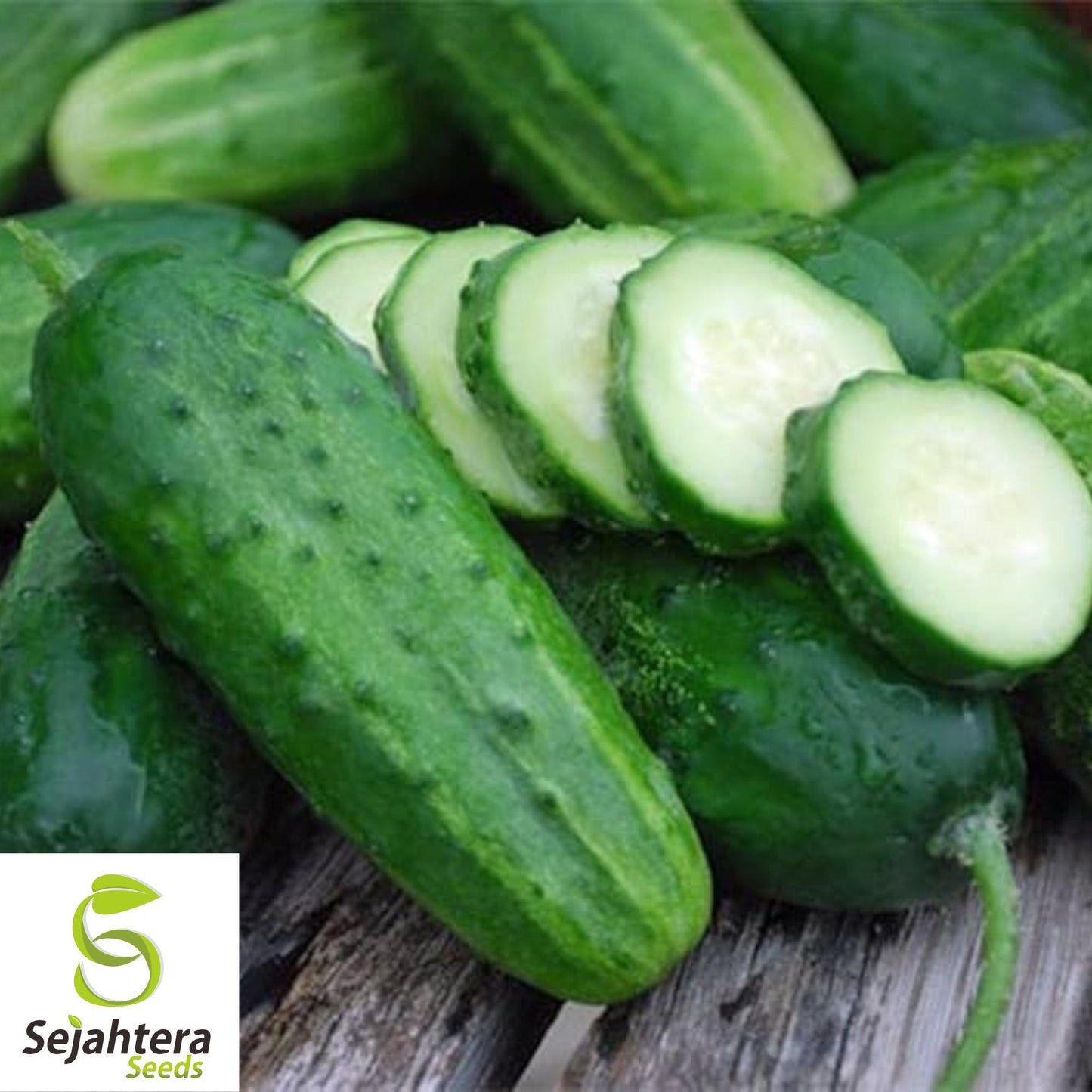 Boston Pickling Cucumber Seeds - 100+ Organic Heirloom - Crisp & Non-GMO