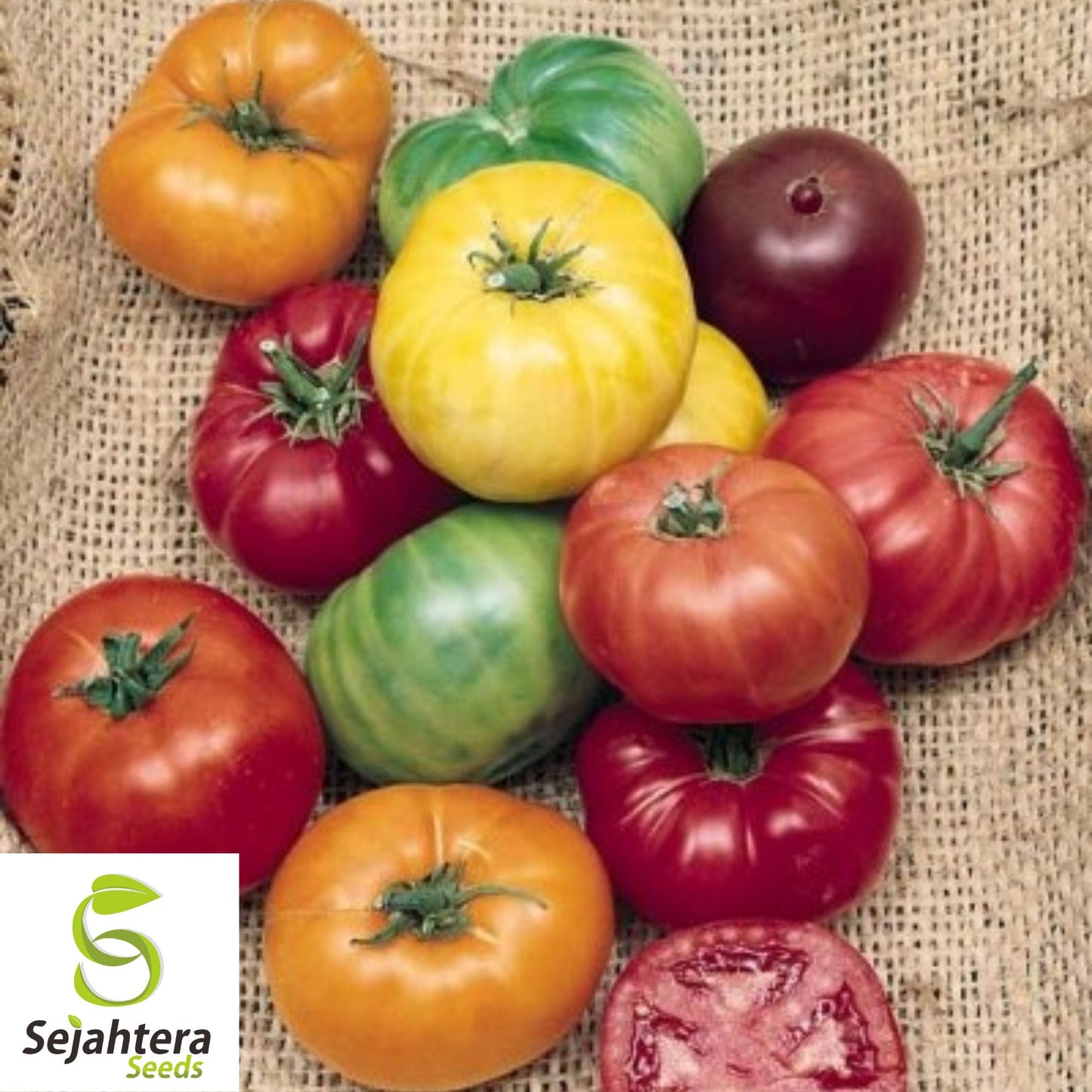 6 Pack Heirloom Tomato Seed Collection - Non-GMO, Diverse & Flavorful Varieties