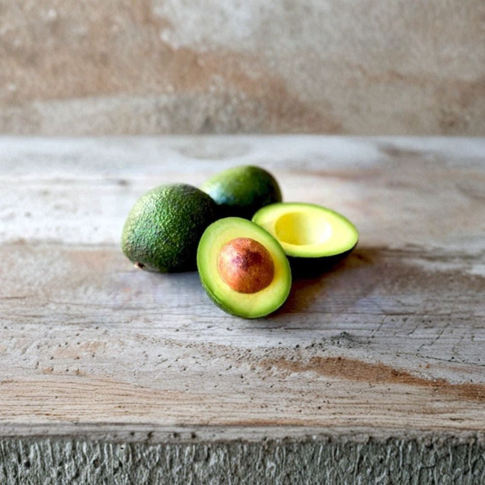 Avocado Tree – Persea americana Live Grafted Tree | 3 Gallon Pot | 3 Feet Tall Fast Fruiting Fruit Tree | Patio & Backyard Ready | Easy to Grow