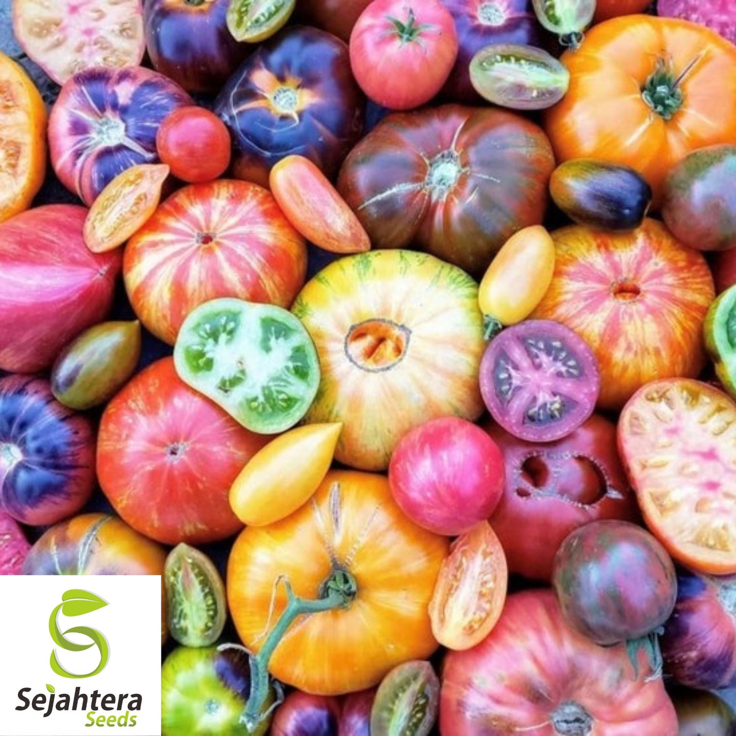 6 Pack Heirloom Tomato Seed Collection - Non-GMO, Diverse & Flavorful Varieties